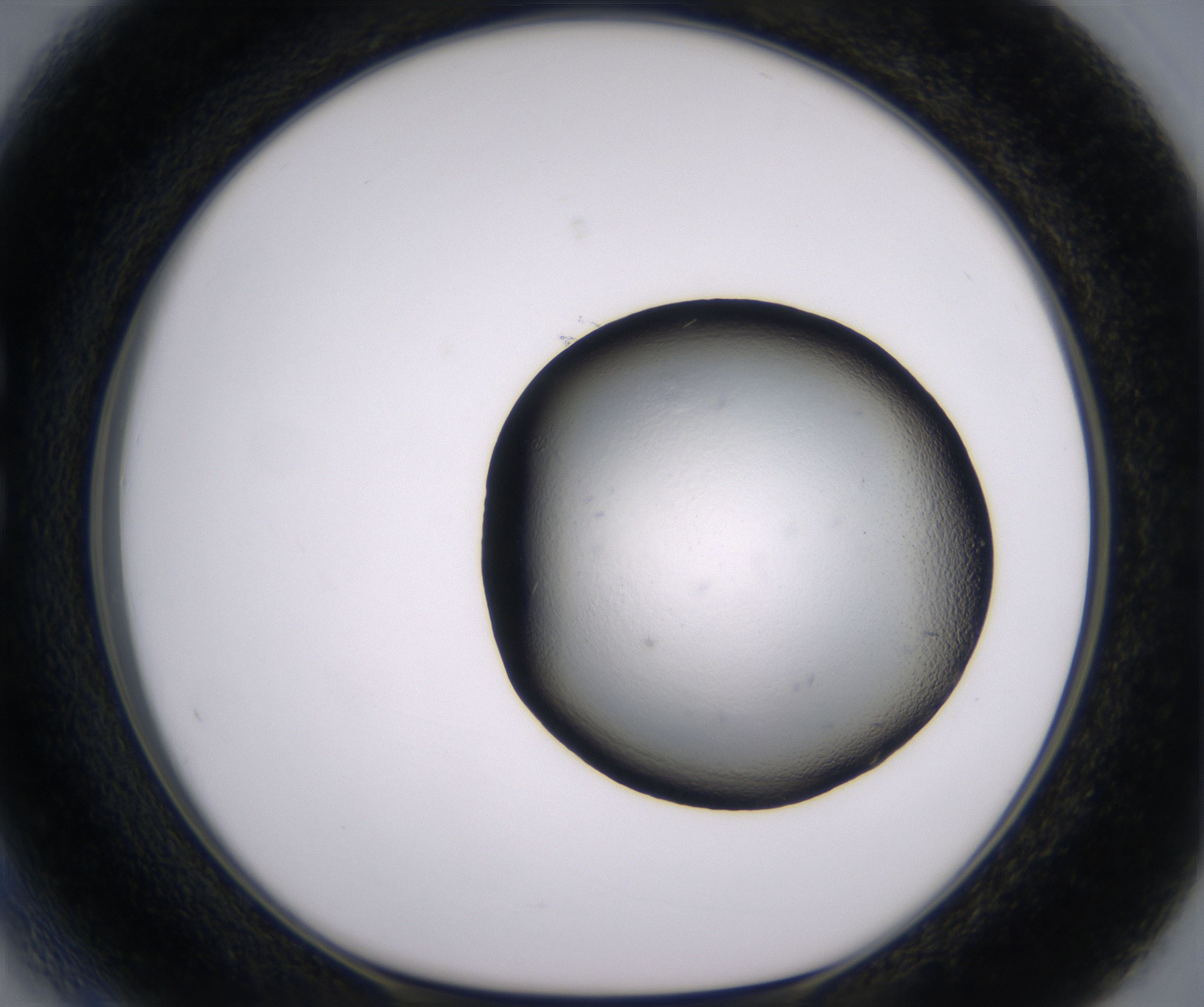 C3_HighResolution_Clear_1.jpg
