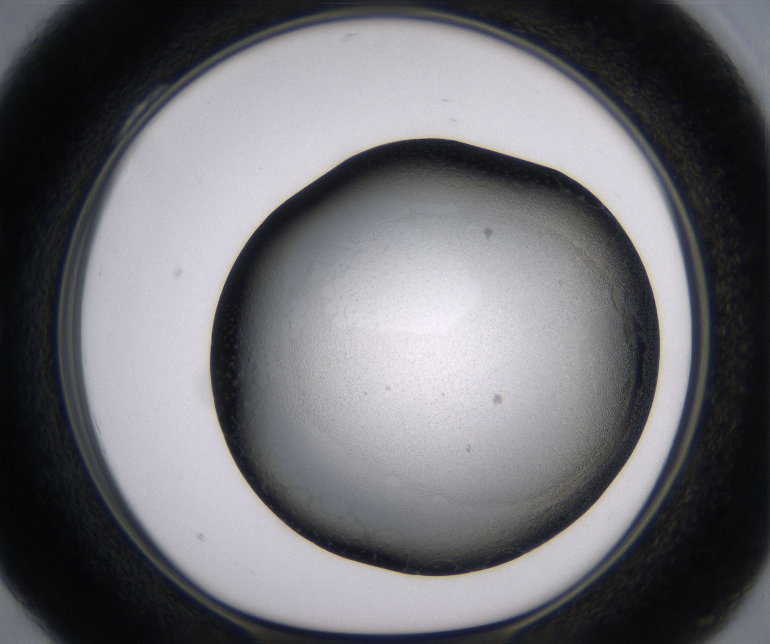 C4_HighResolution_Clear_1.jpg