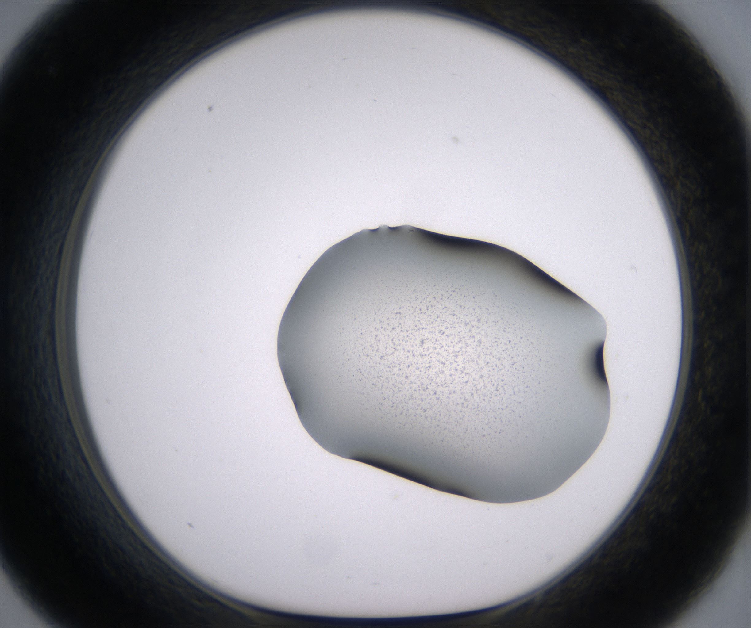 C9_HighResolution_Clear_1.jpg