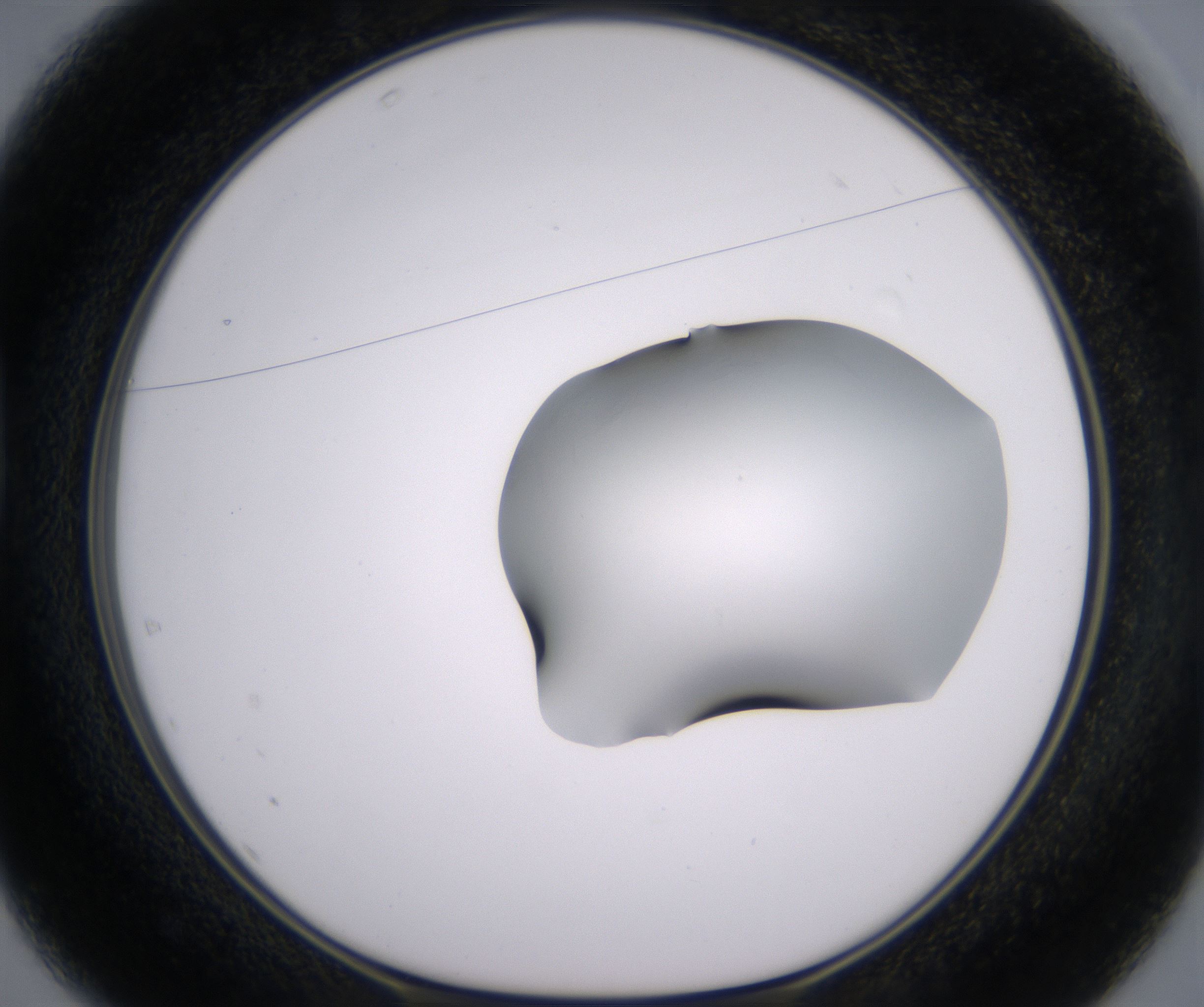 D1_HighResolution_Clear_1.jpg