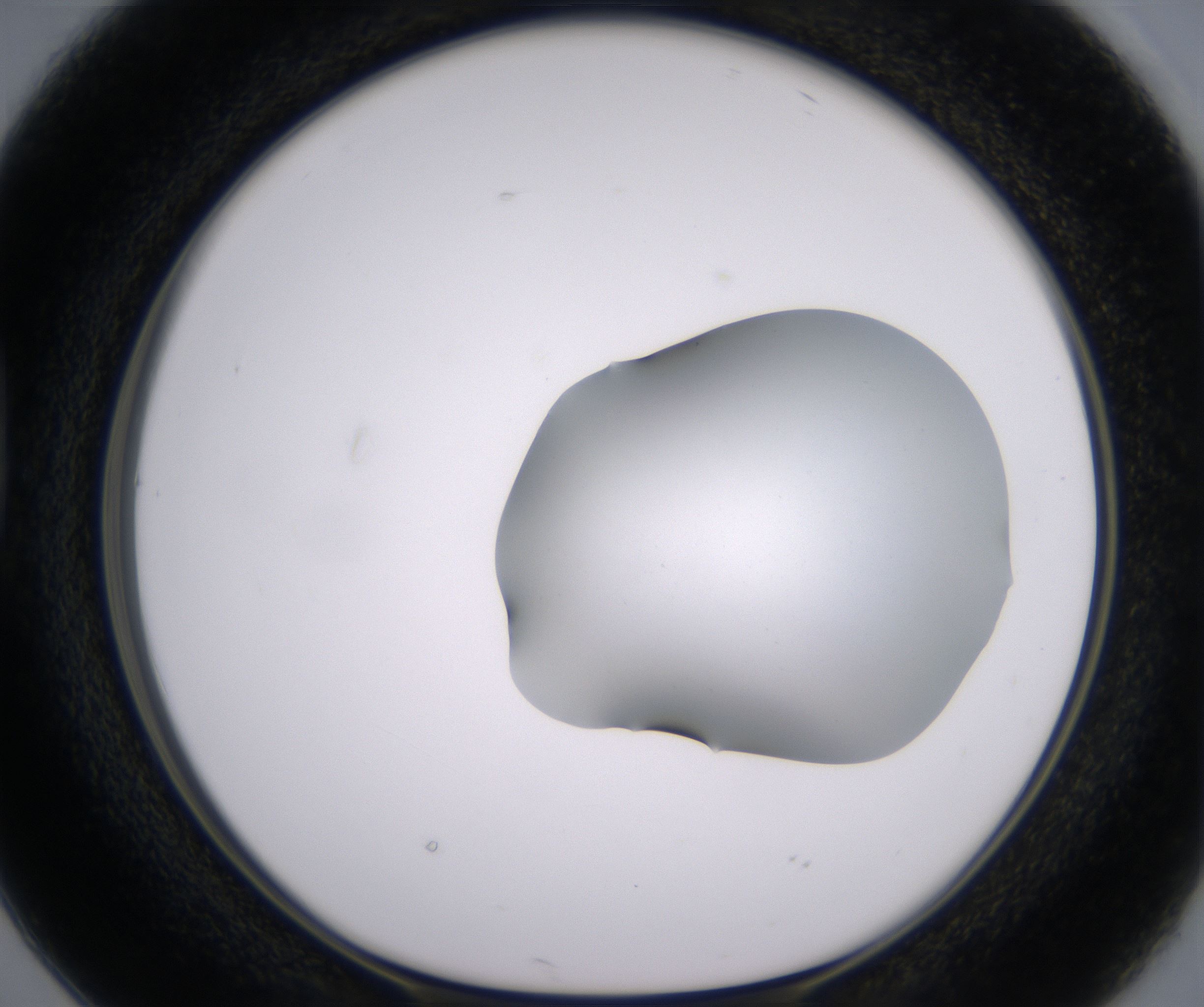 D2_HighResolution_Clear_1.jpg