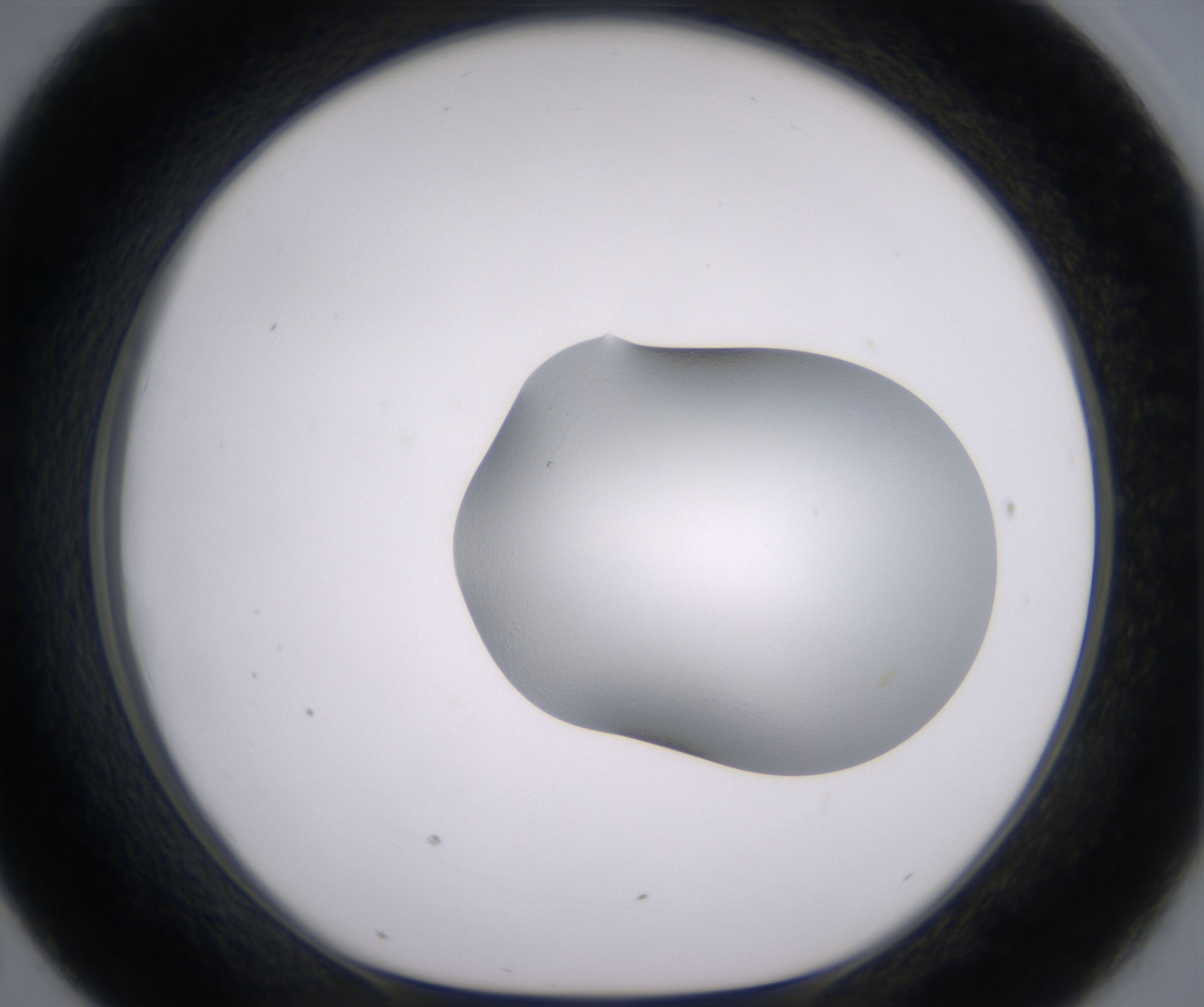 D7_HighResolution_Clear_1.jpg