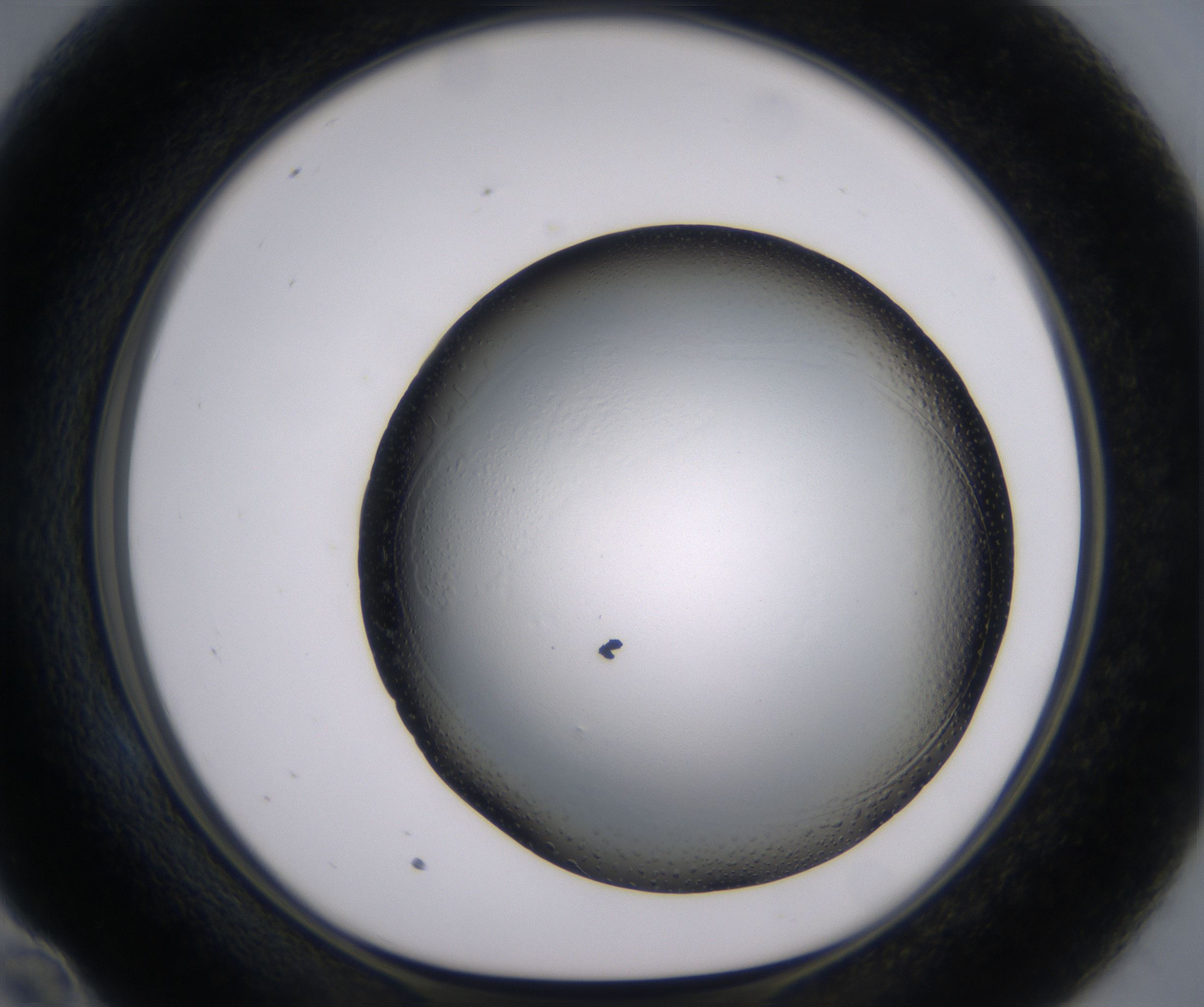 E10_HighResolution_Clear_1.jpg