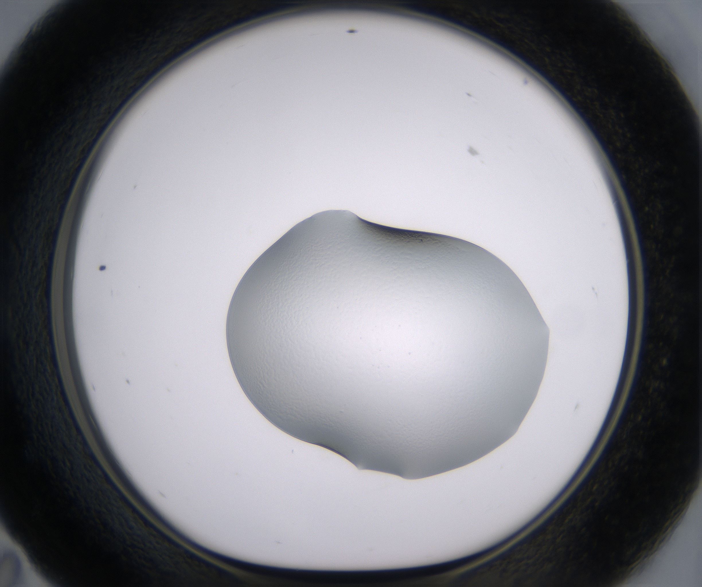 E11_HighResolution_Clear_1.jpg
