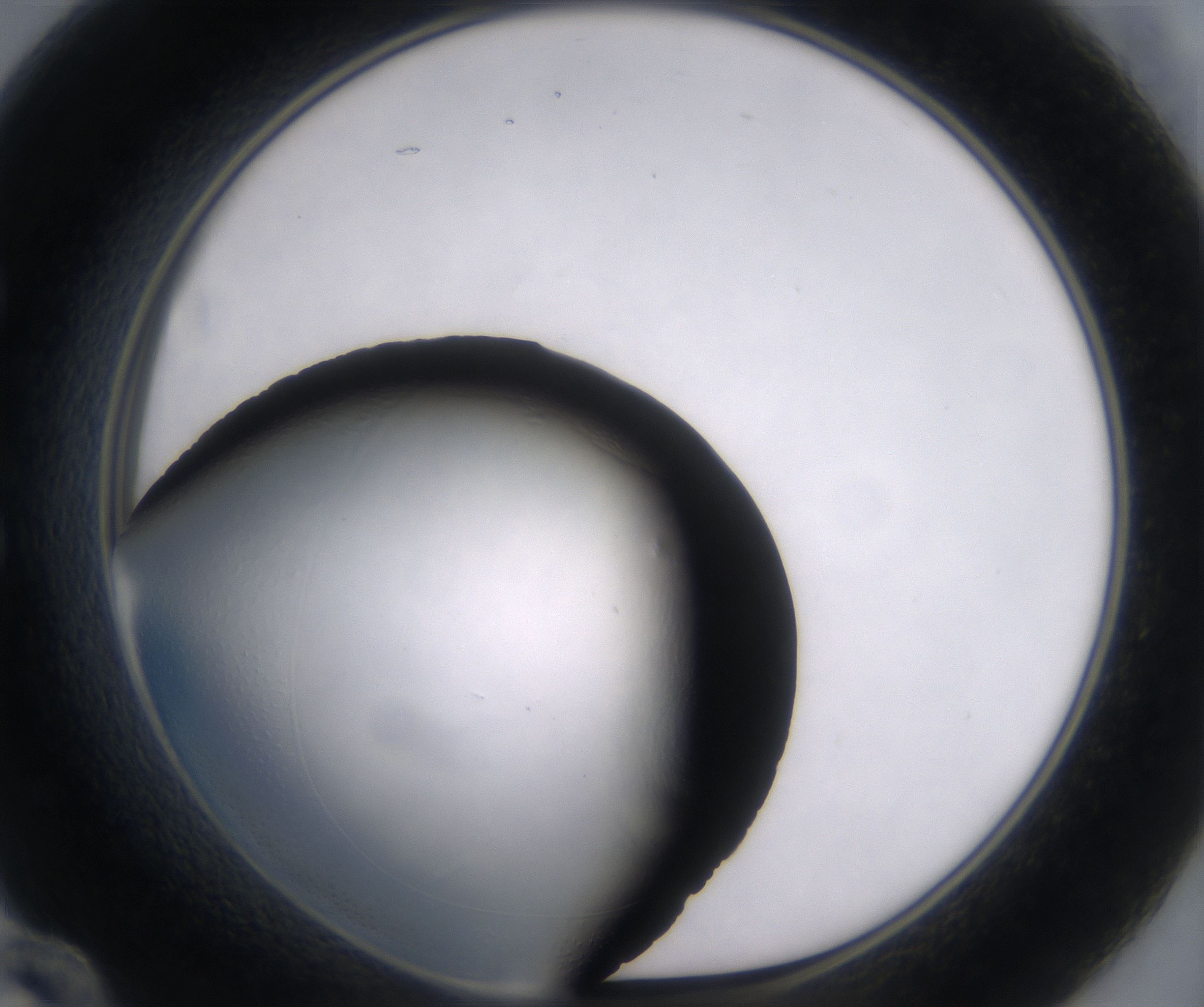 E12_HighResolution_Clear_1.jpg