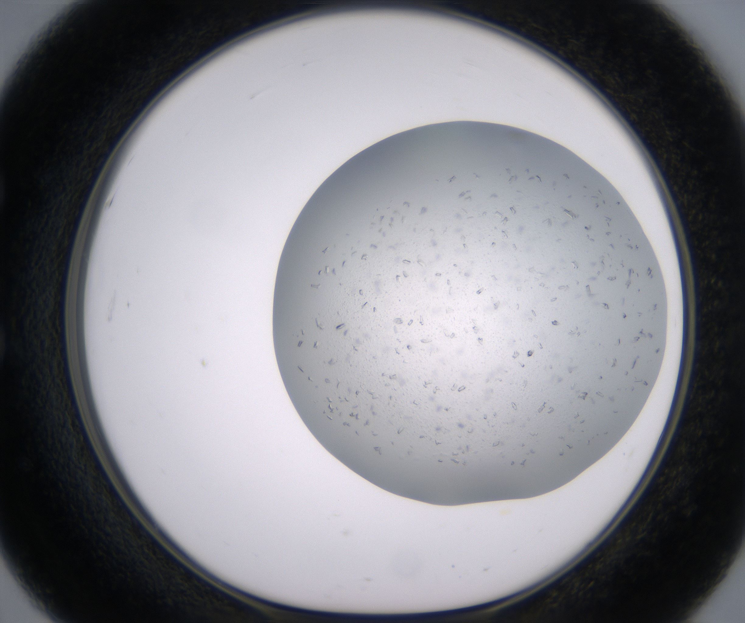 E3_HighResolution_Crystal_1.jpg
