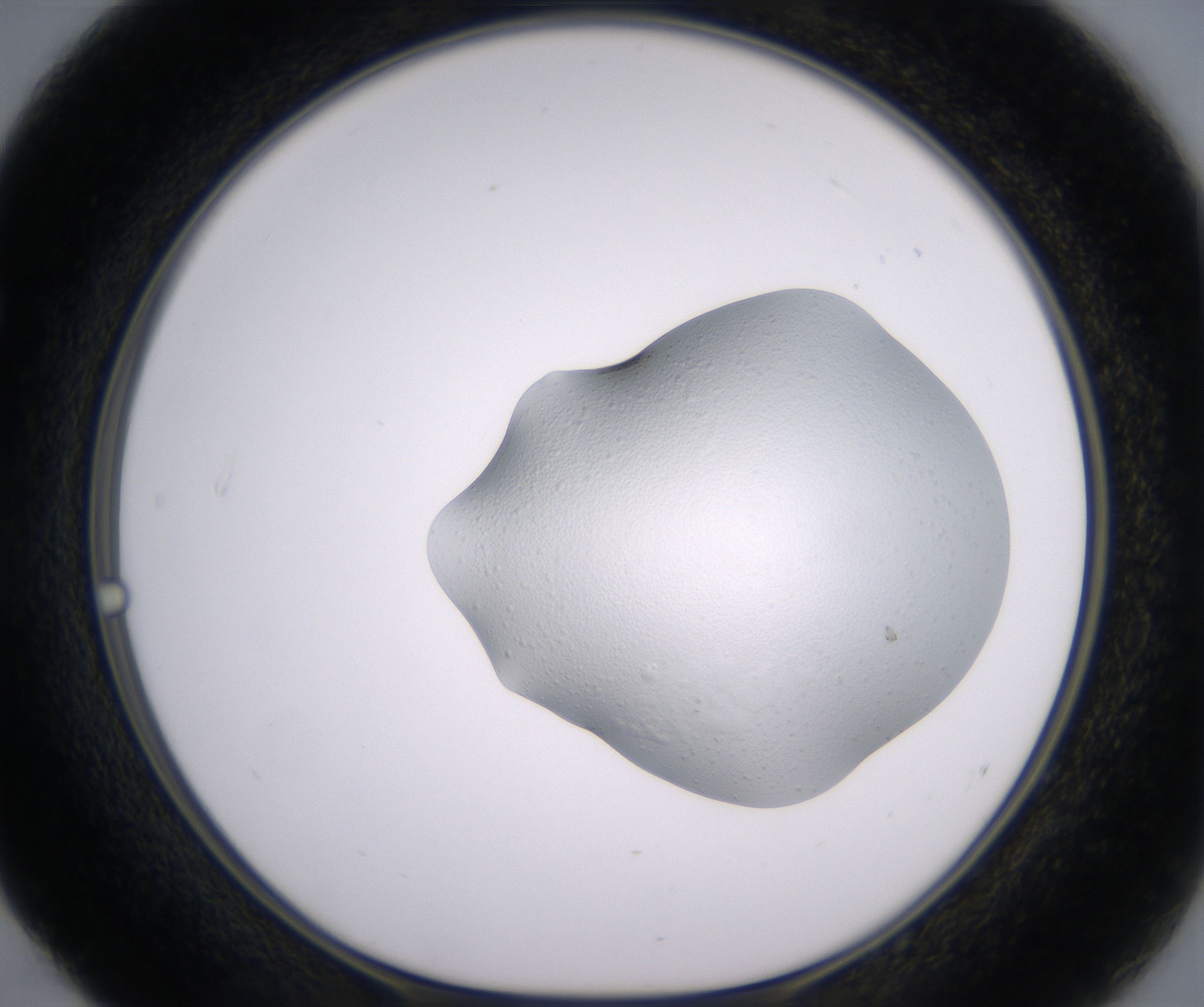 E4_HighResolution_Clear_1.jpg