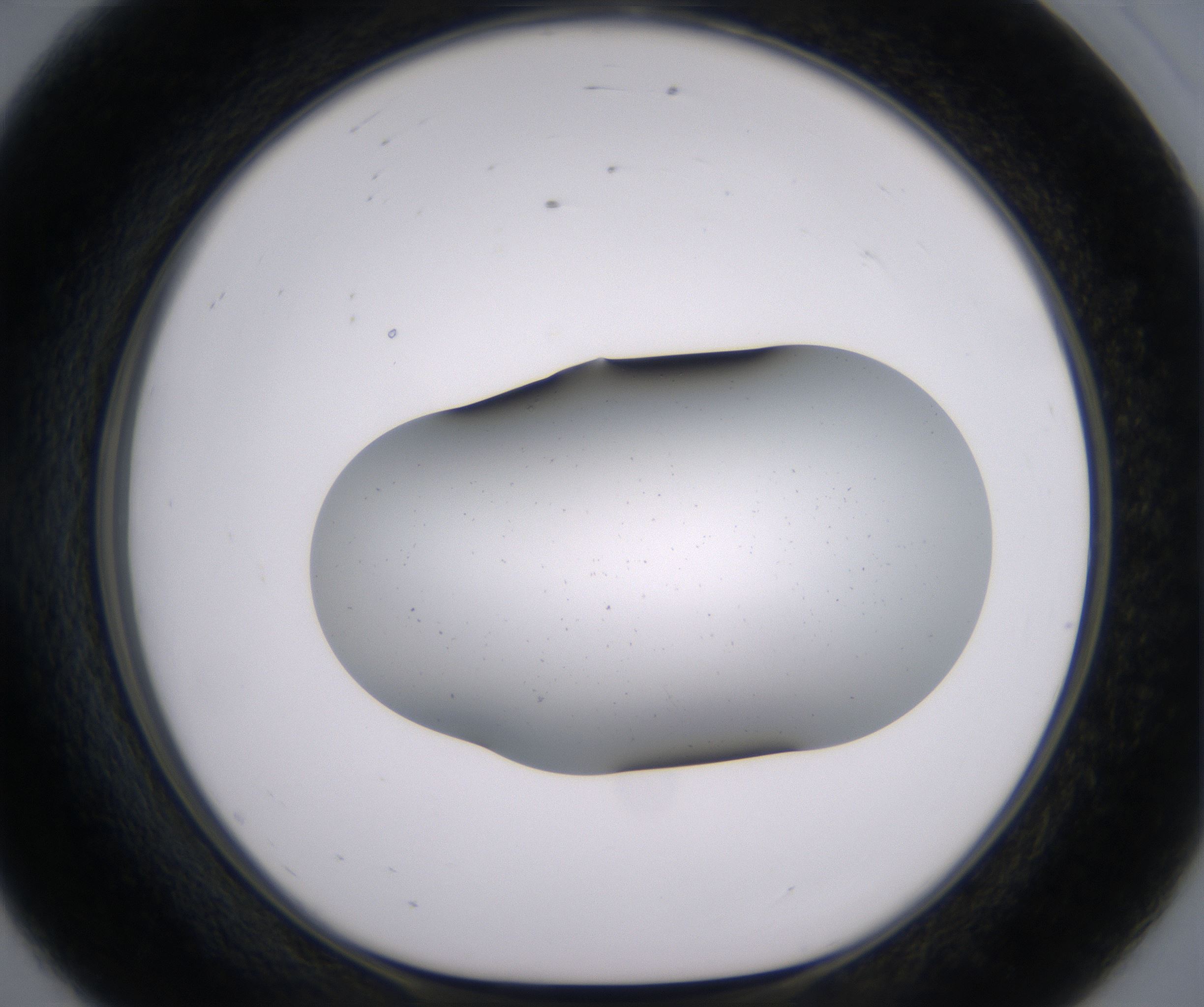 E8_HighResolution_Clear_1.jpg