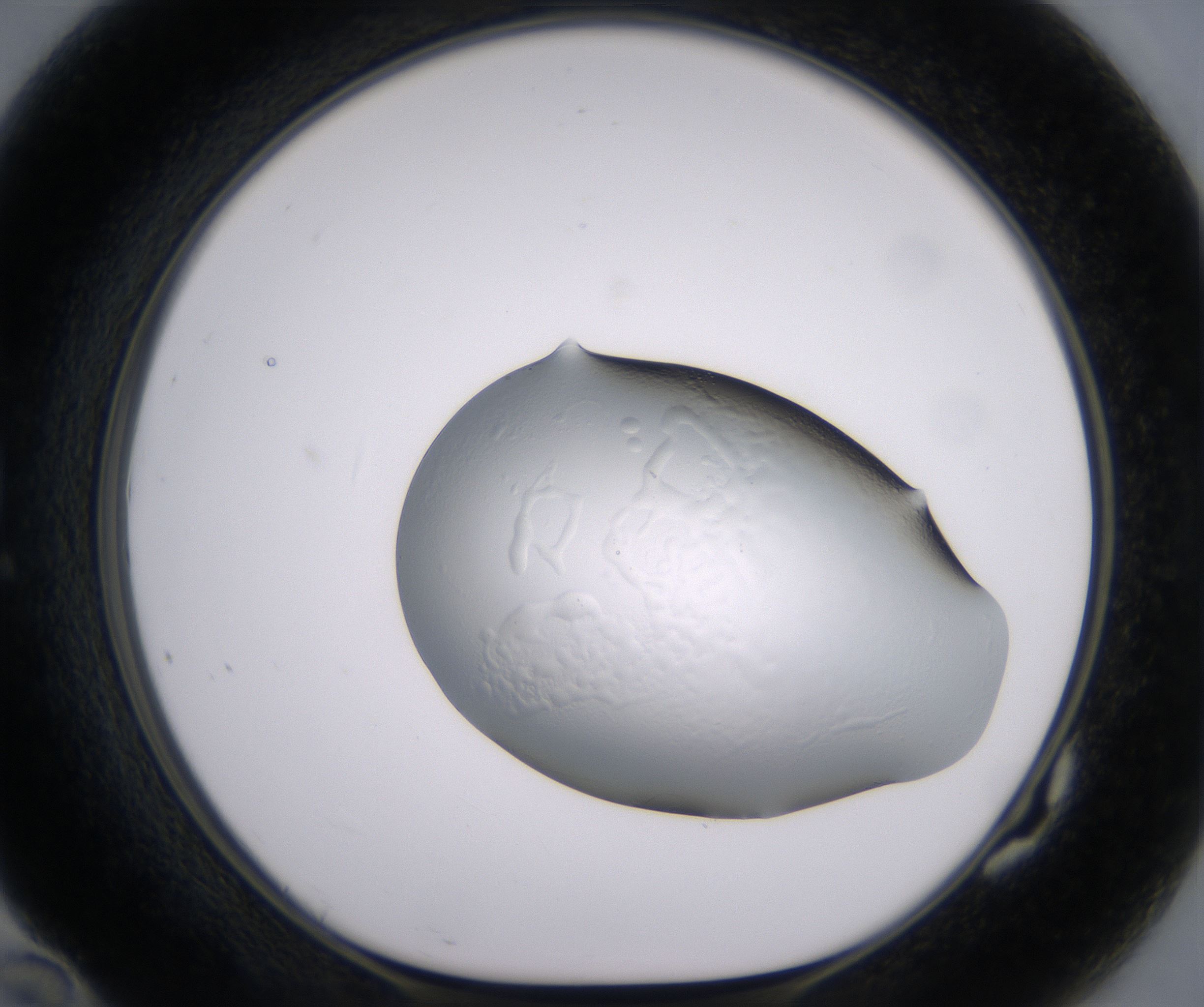 G10_HighResolution_Clear_1.jpg