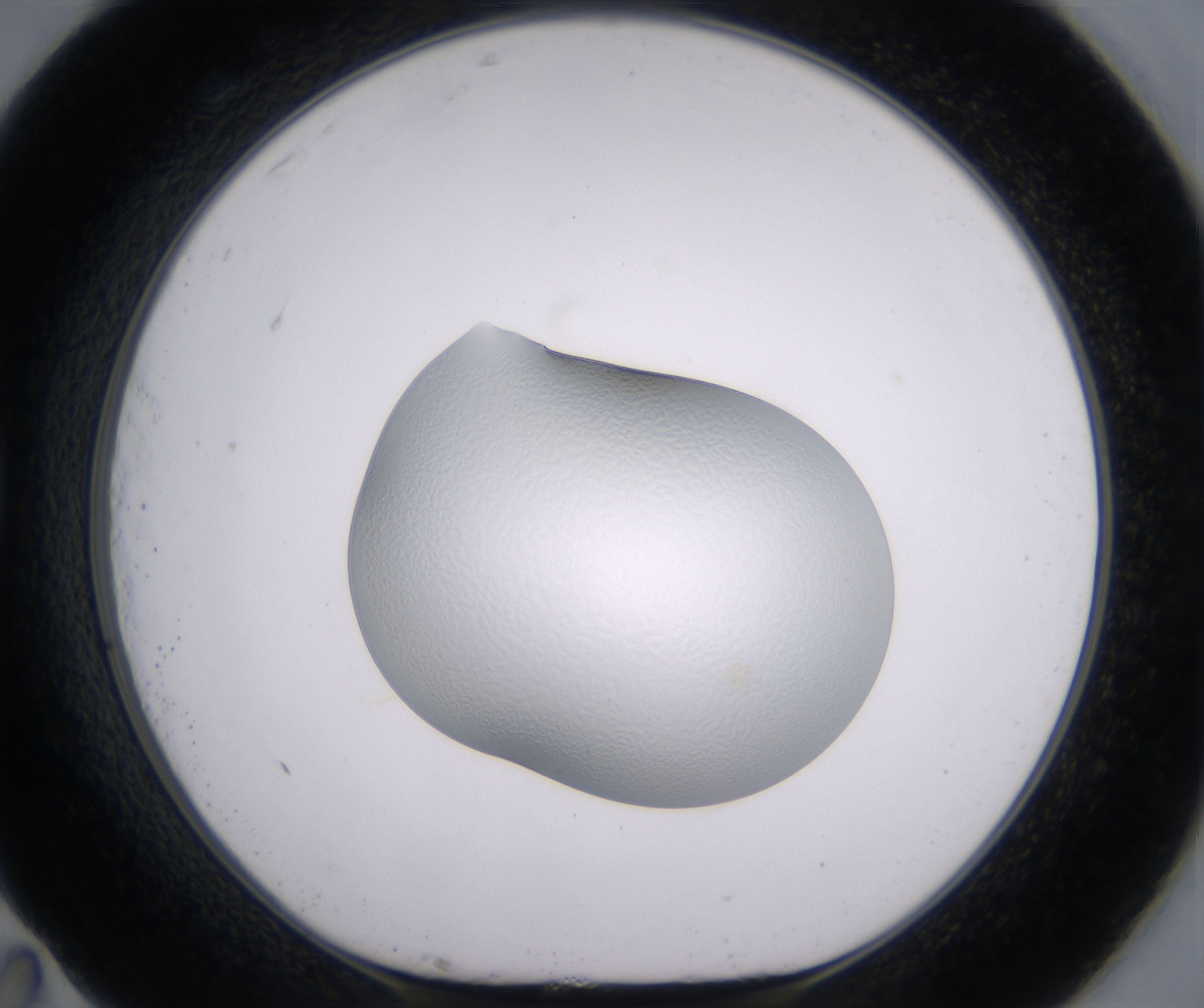 G11_HighResolution_Clear_1.jpg
