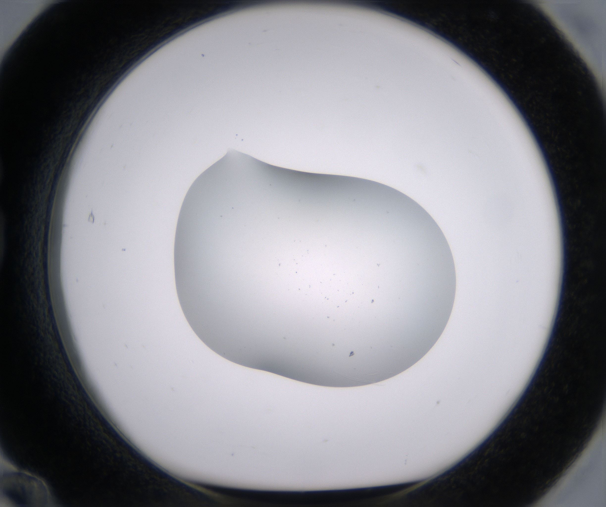 G12_HighResolution_Clear_1.jpg