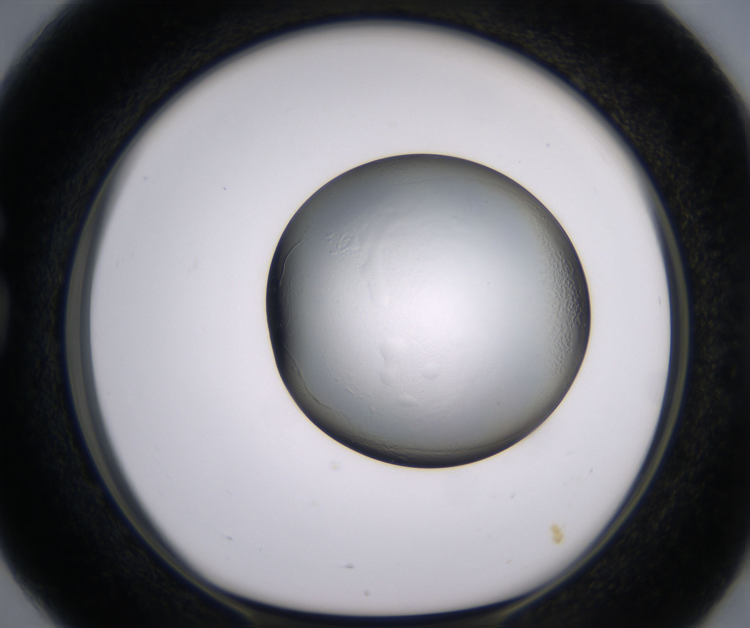 G4_HighResolution_Clear_1.jpg