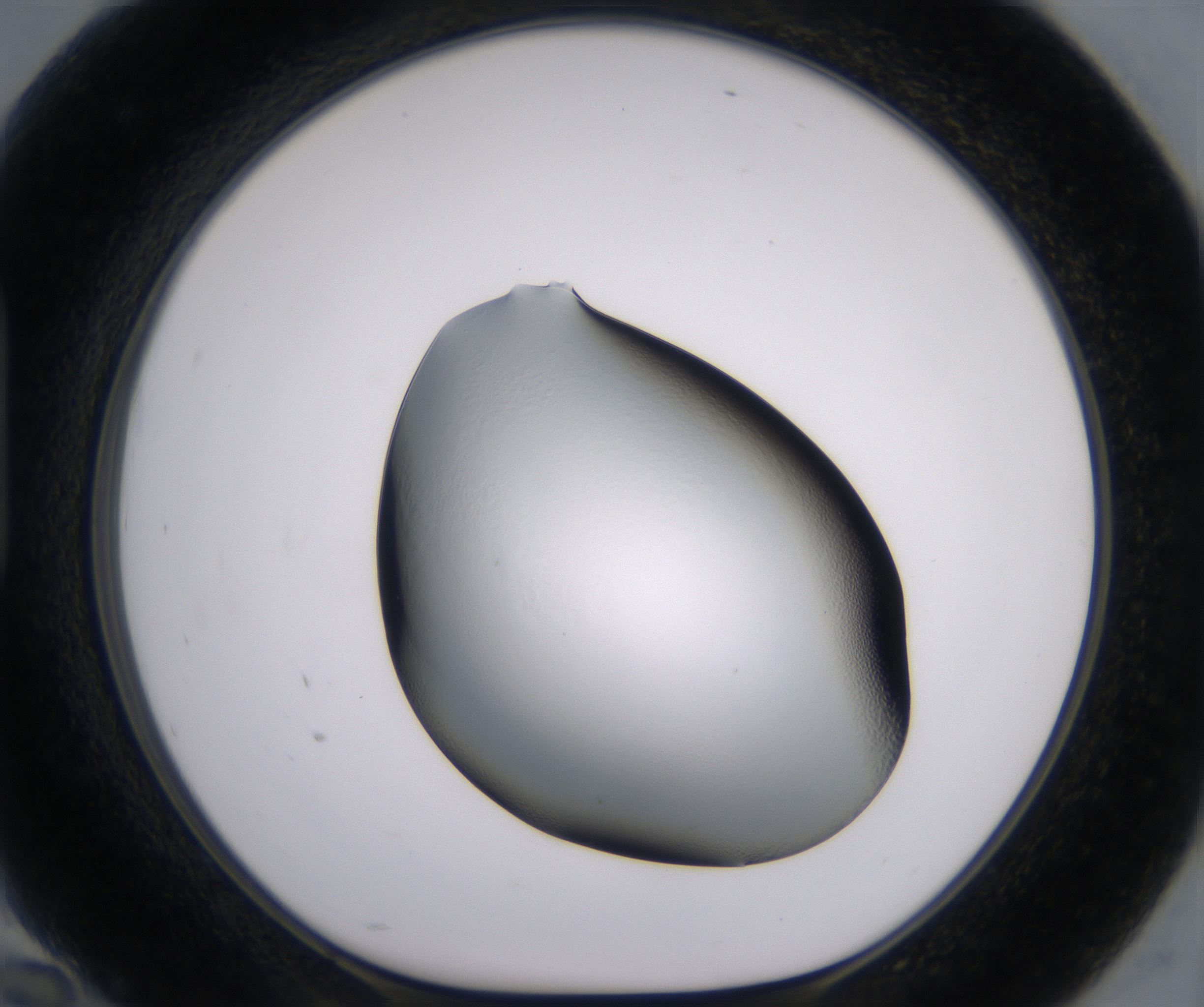 H10_HighResolution_Clear_1.jpg