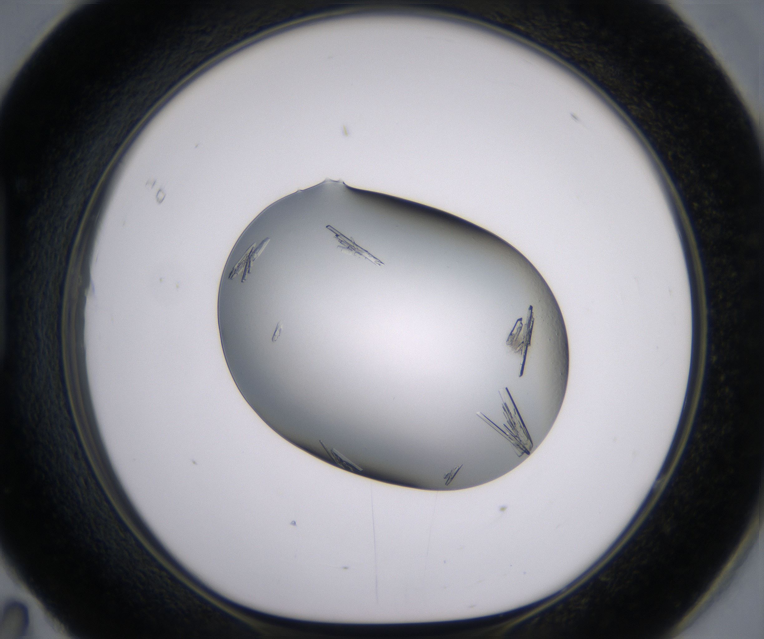 H11_HighResolution_Crystal_1.jpg