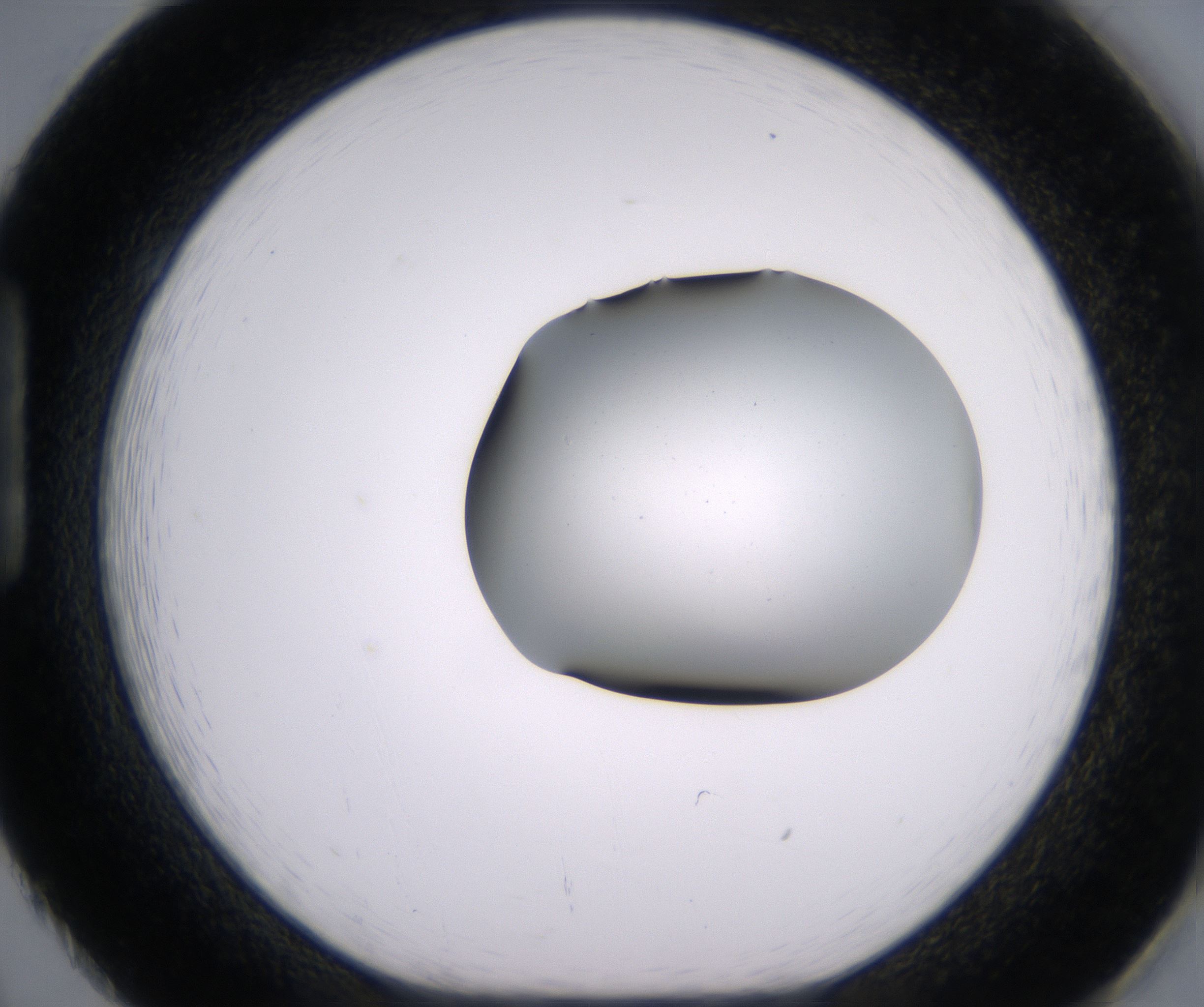 H2_HighResolution_Clear_1.jpg
