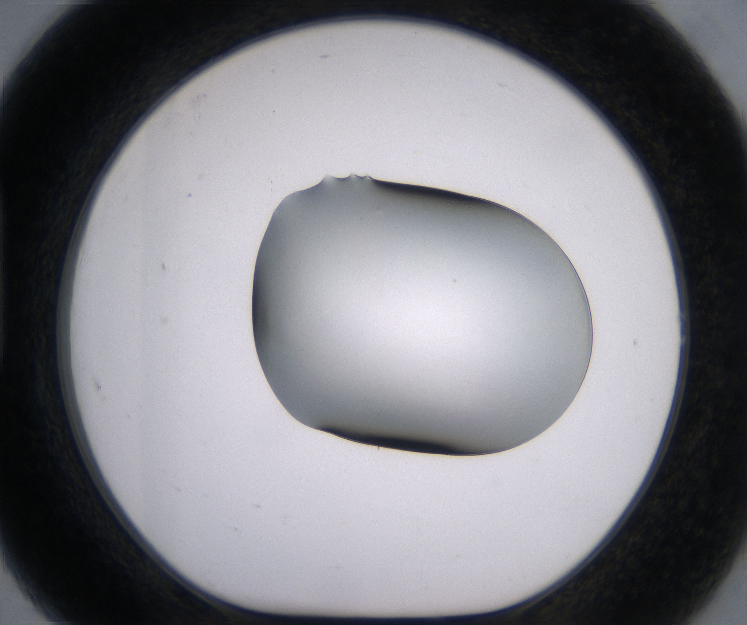 H7_HighResolution_Clear_1.jpg
