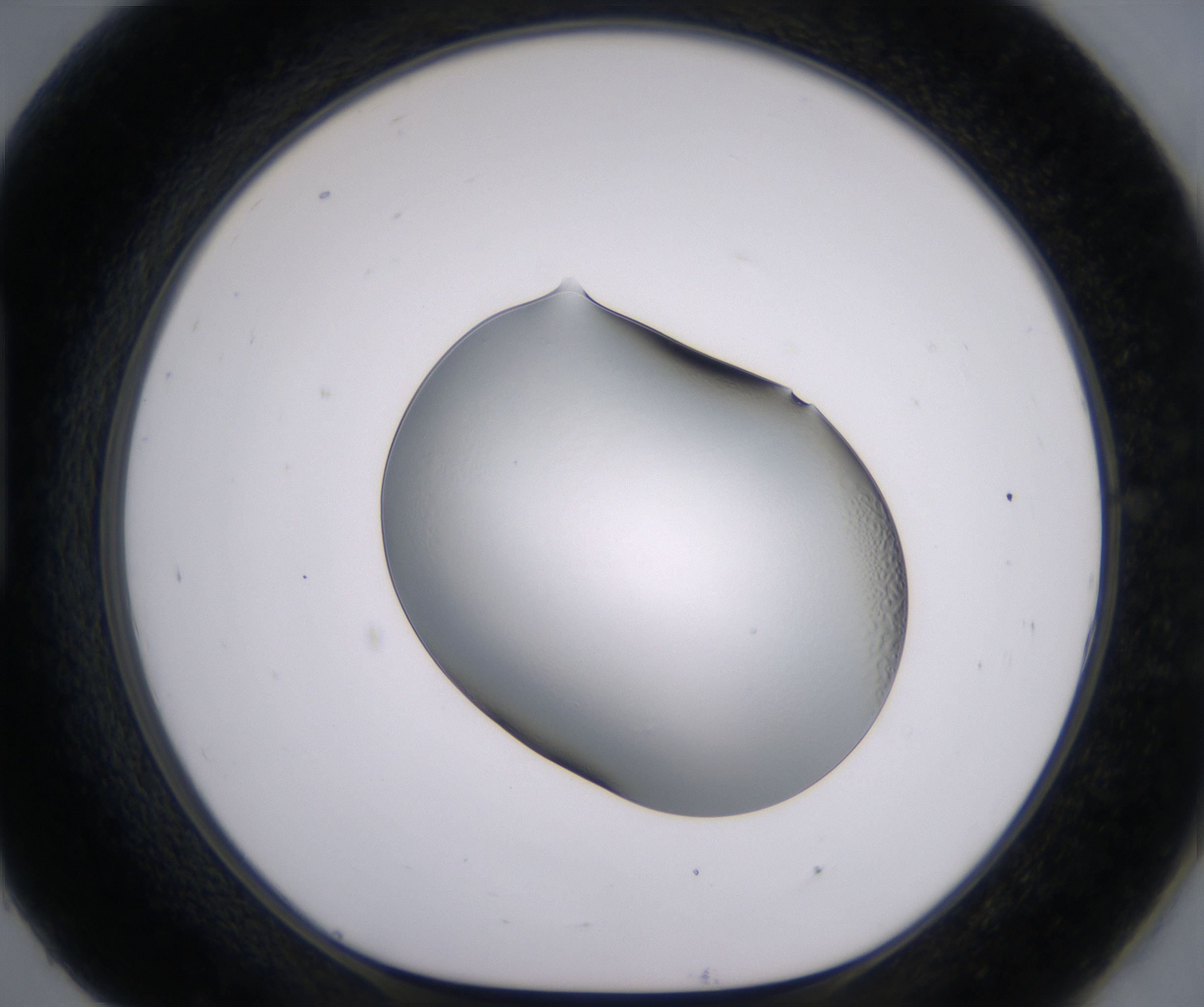 H9_HighResolution_Clear_1.jpg