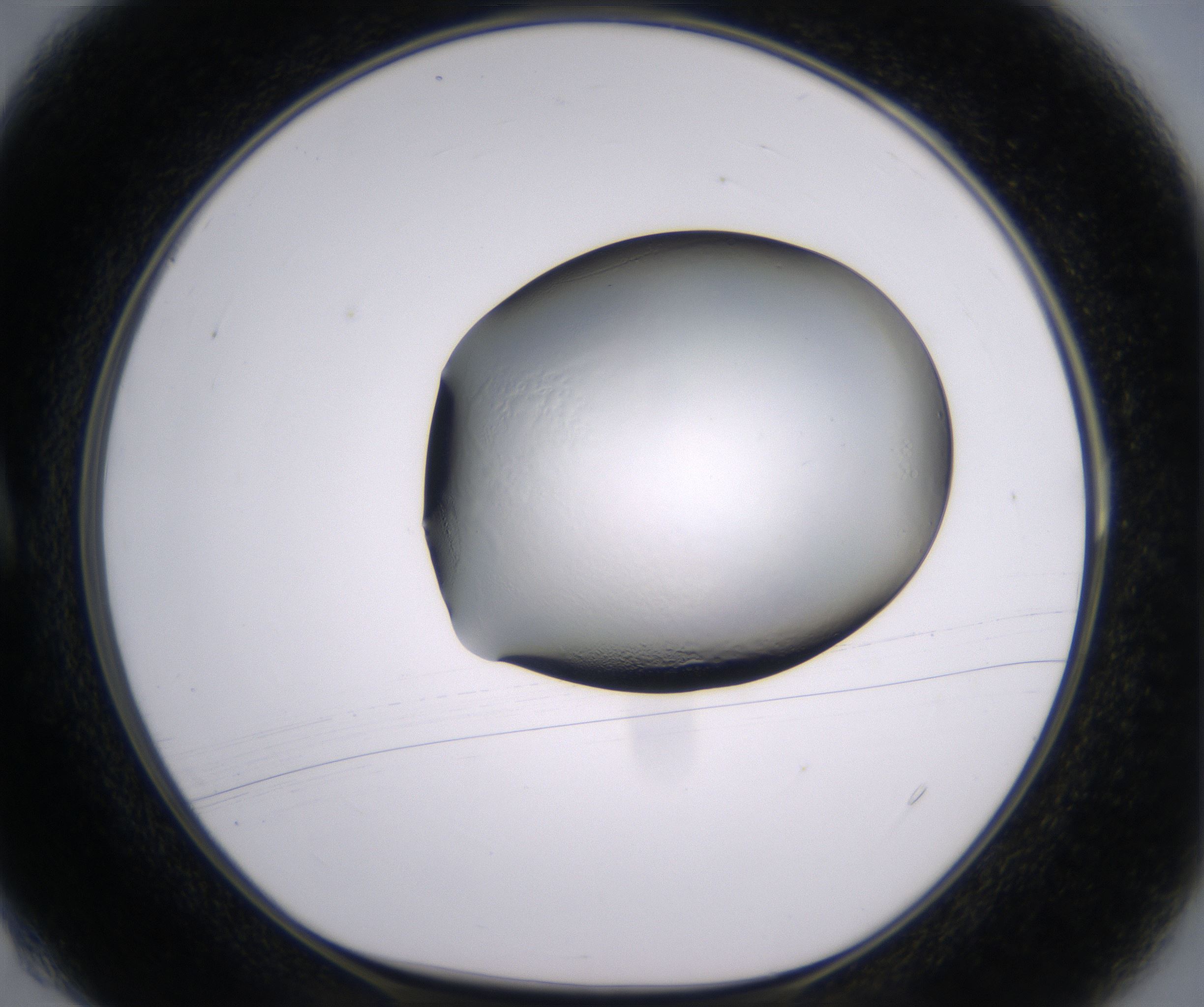 A4_HighResolution_Clear_1.jpg