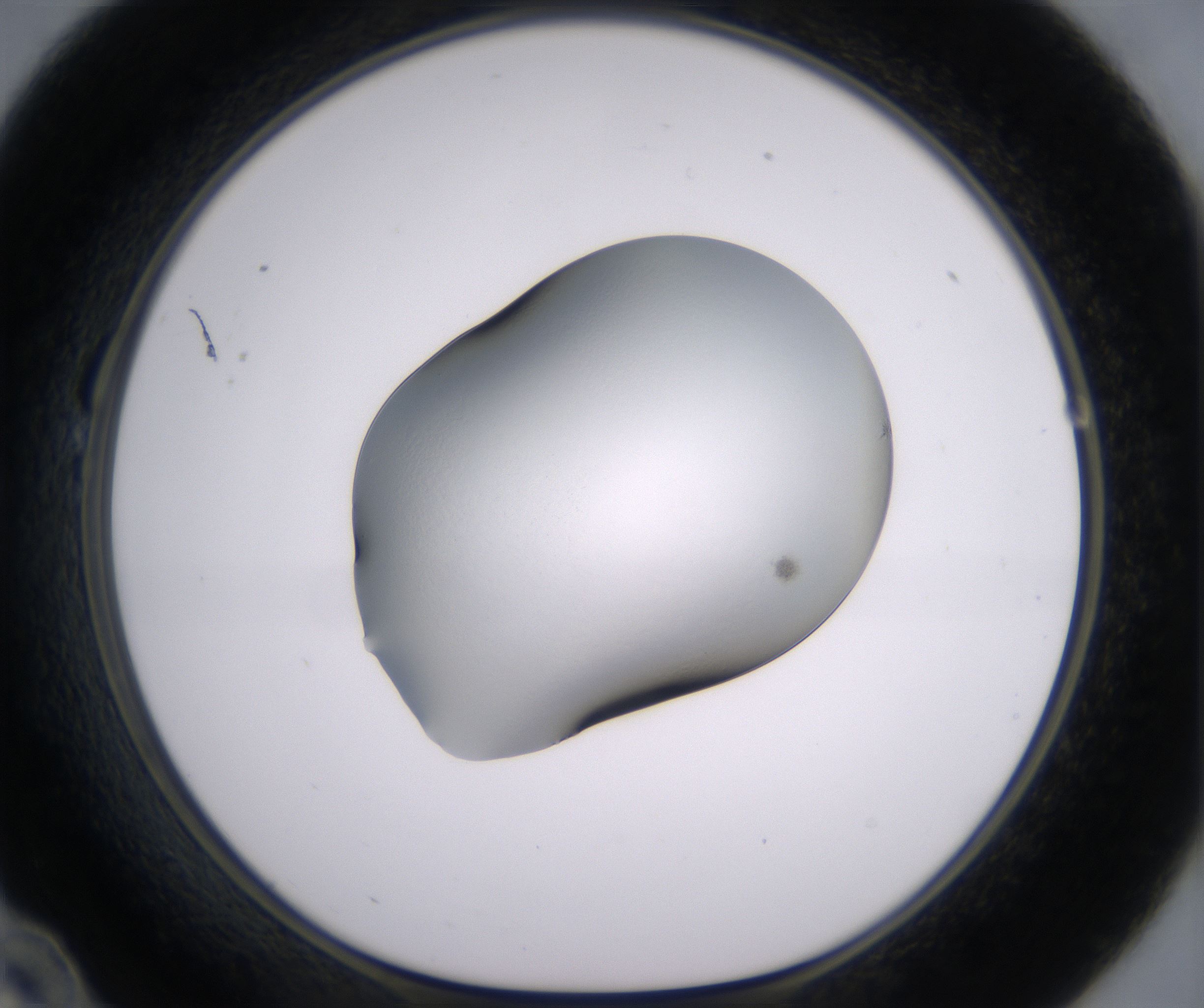 B10_HighResolution_Clear_1.jpg