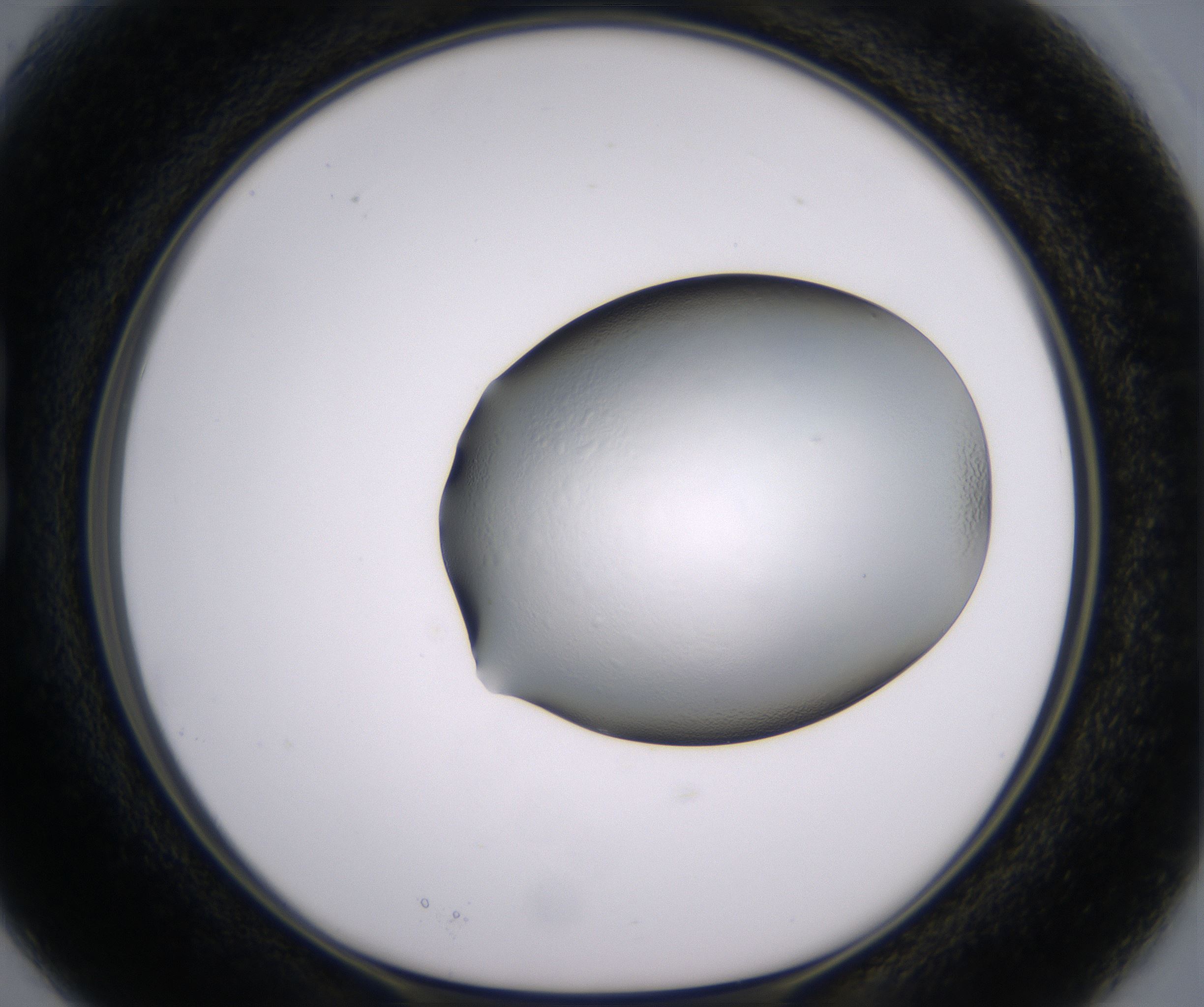 B3_HighResolution_Clear_1.jpg