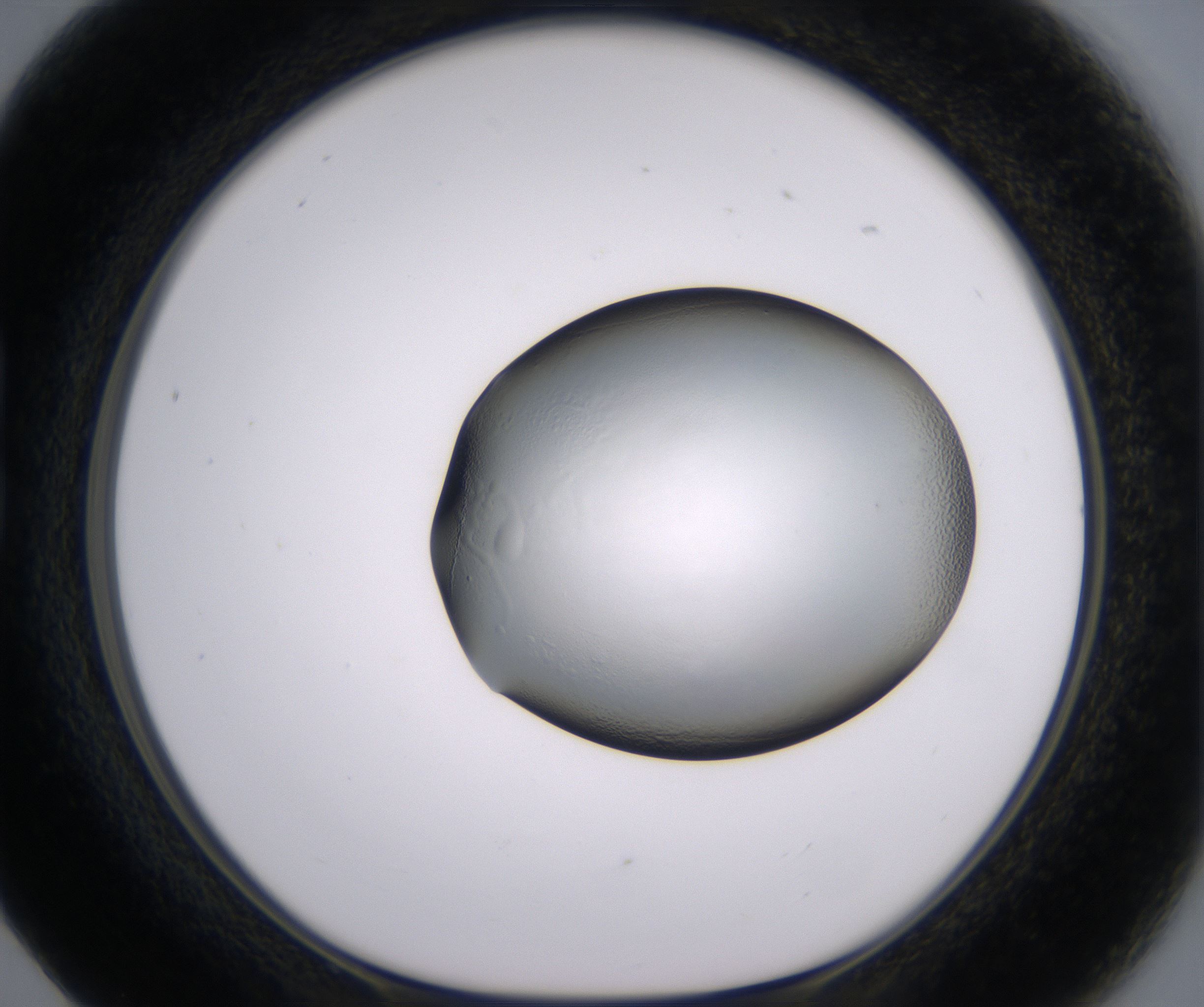 B5_HighResolution_Clear_1.jpg