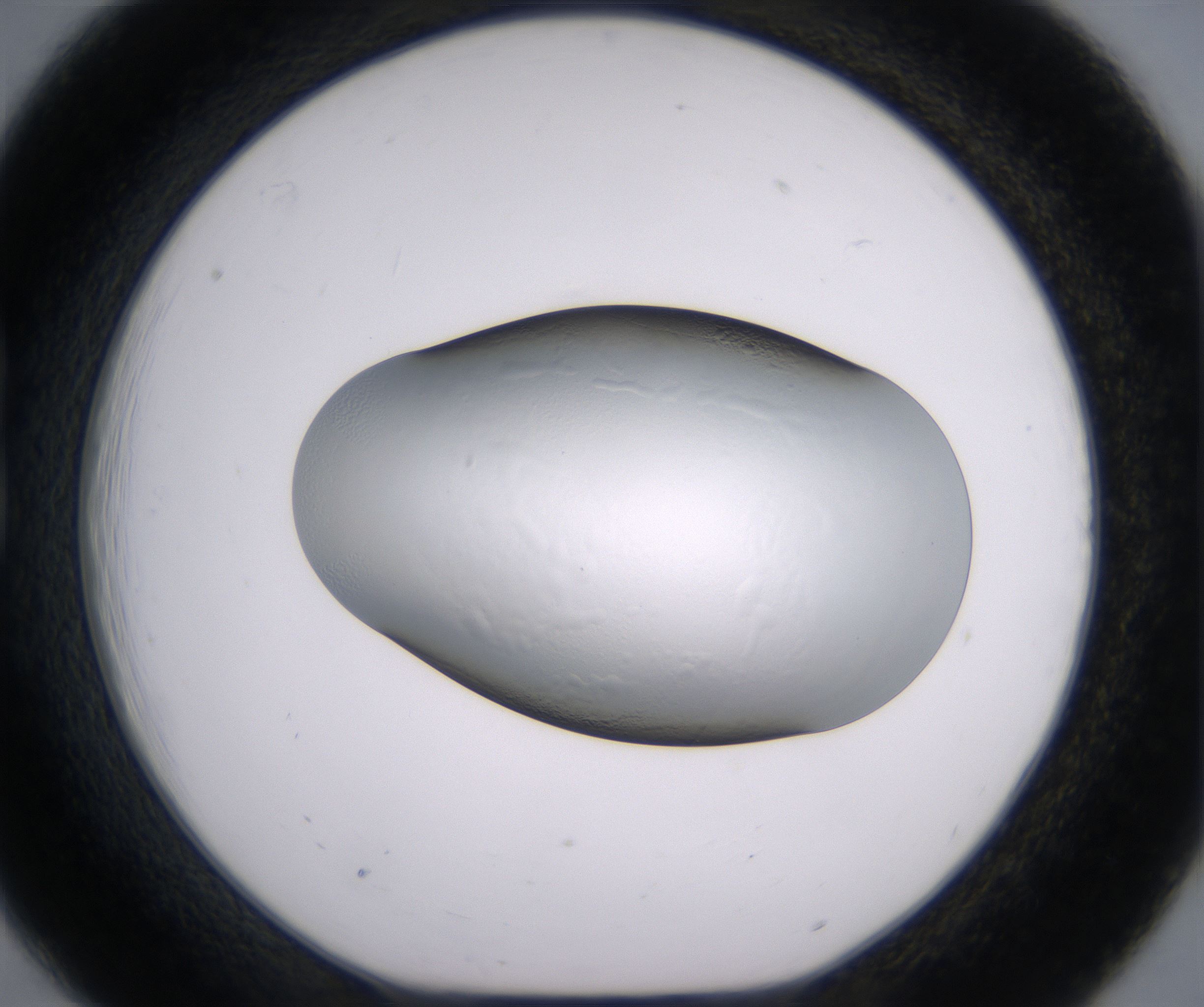 B6_HighResolution_Clear_1.jpg