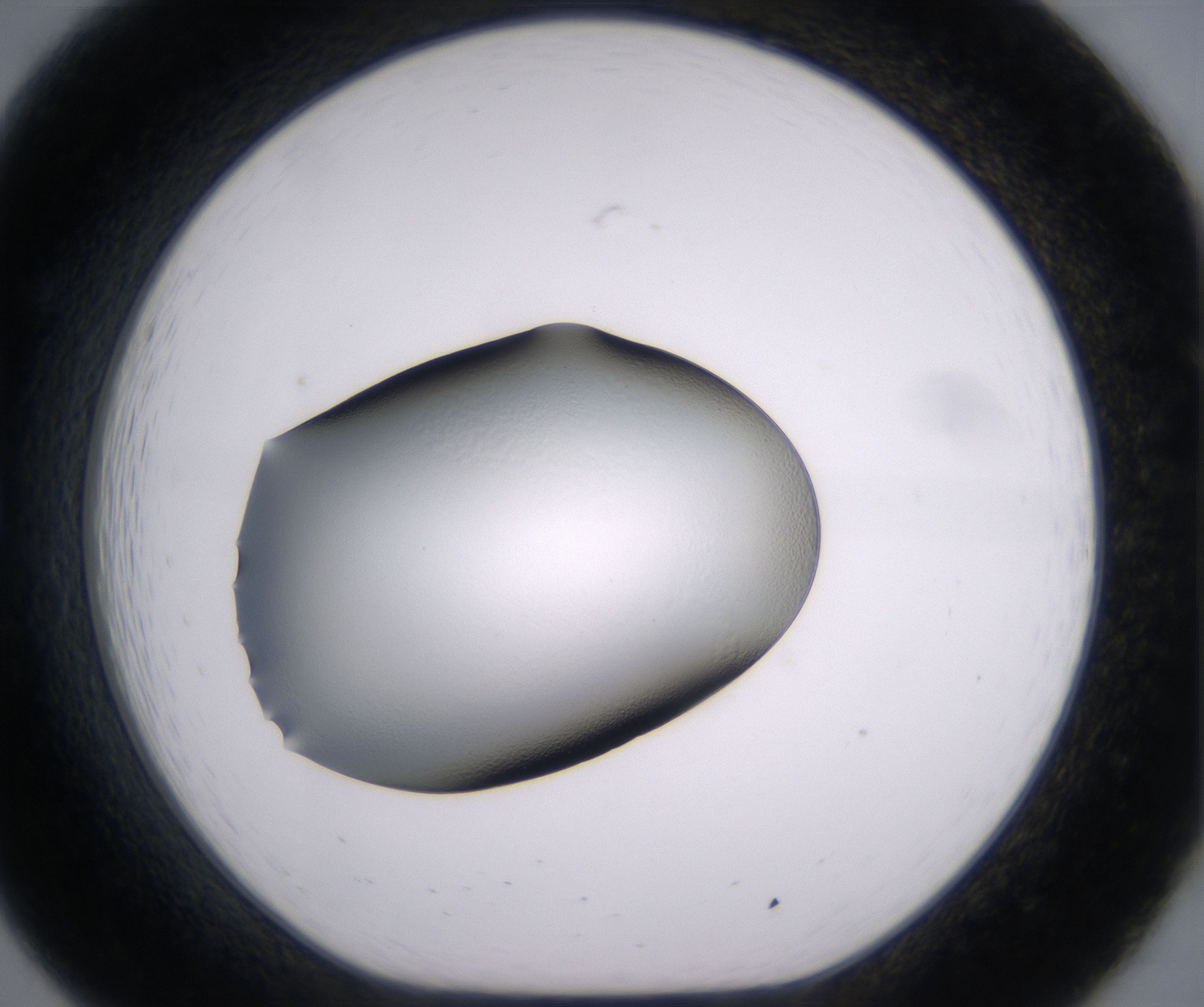 B7_HighResolution_Clear_1.jpg