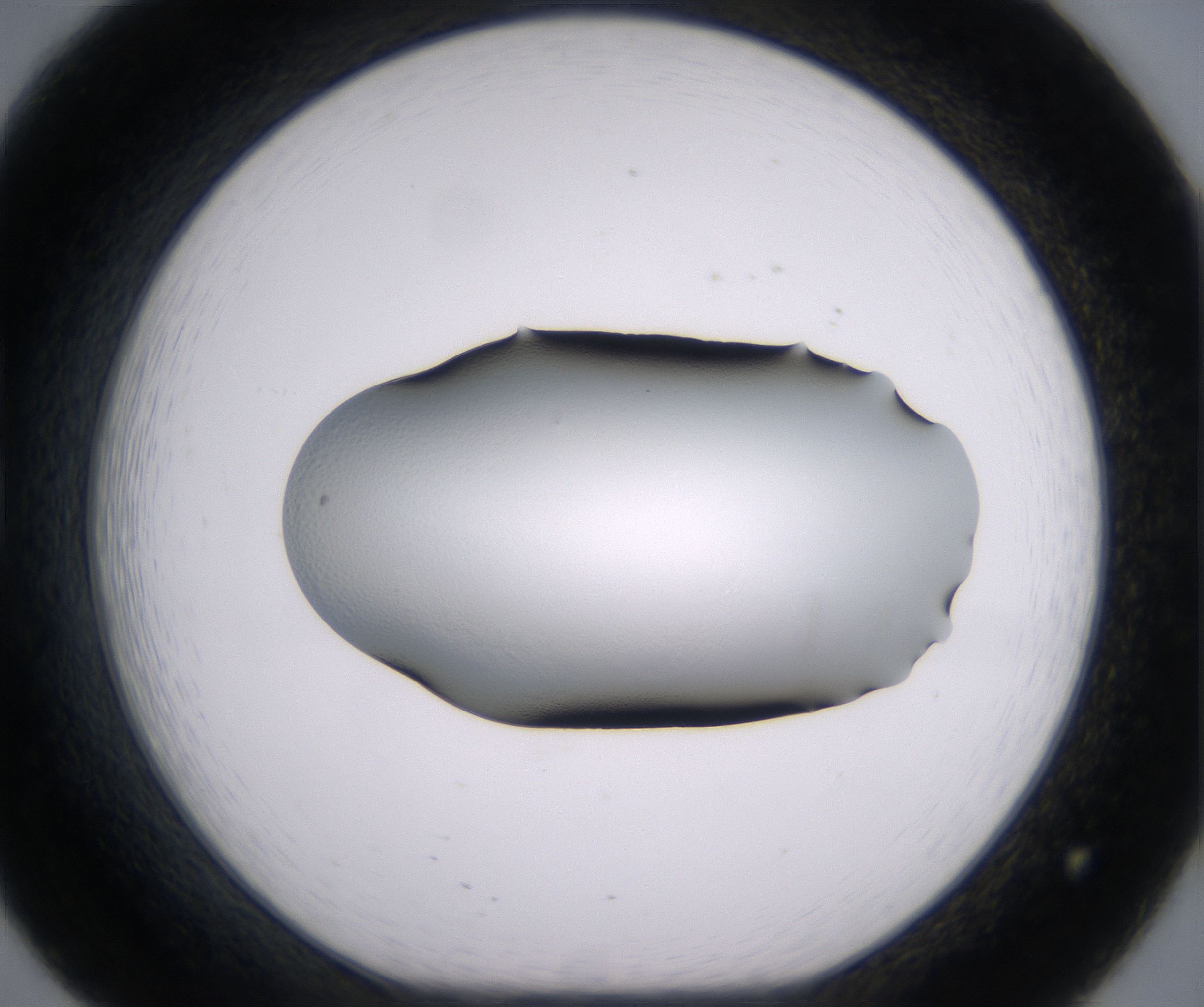 B8_HighResolution_Clear_1.jpg