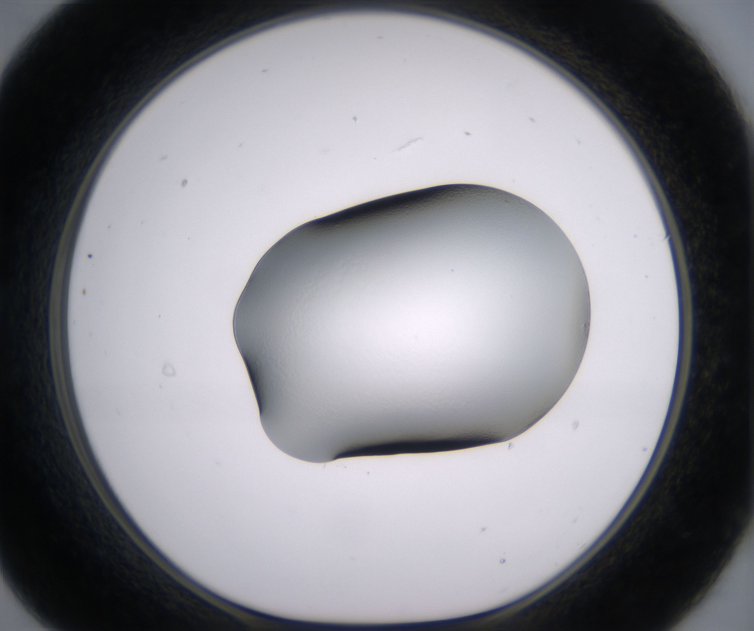 B9_HighResolution_Clear_1.jpg