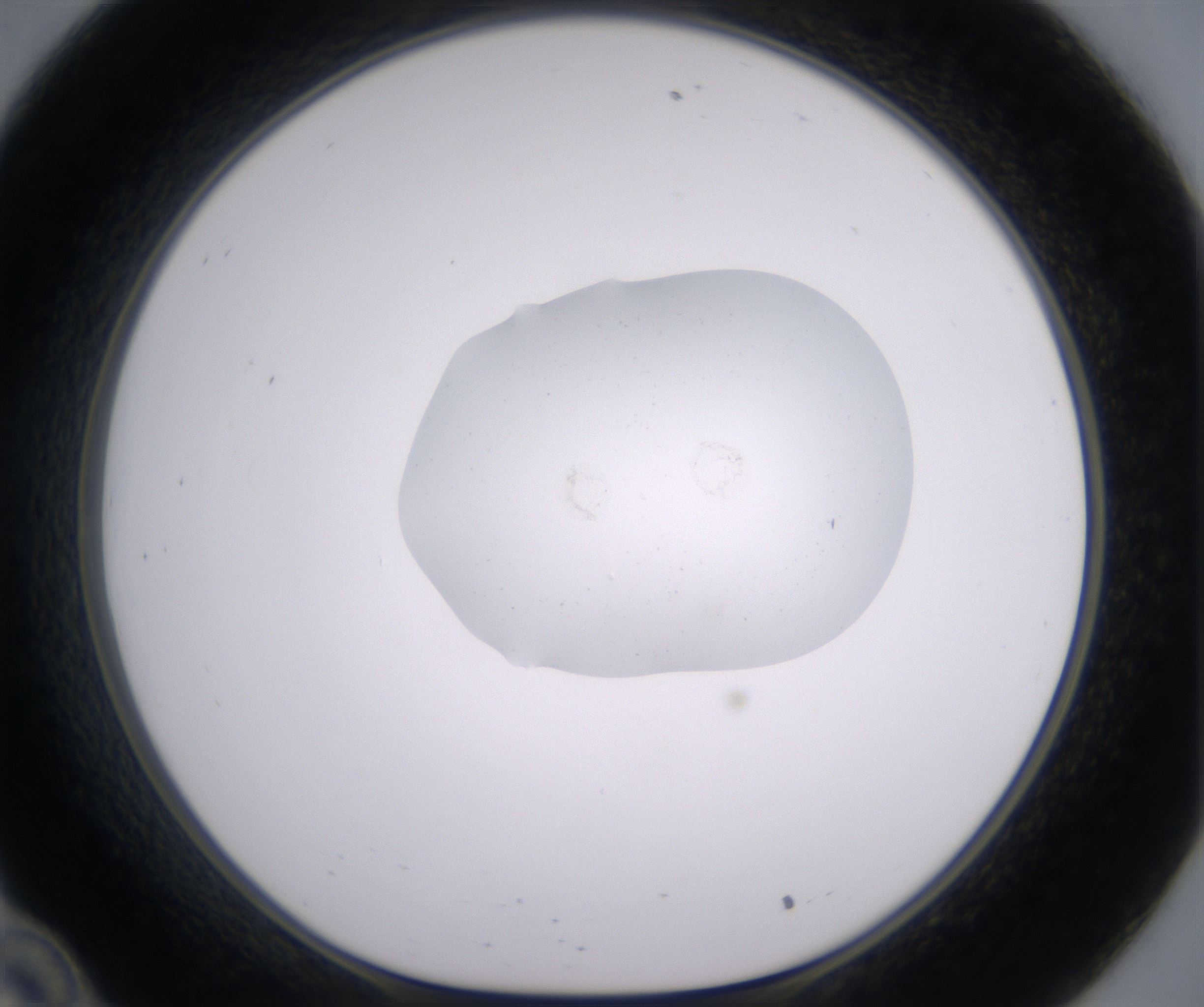 C10_HighResolution_Clear_1.jpg