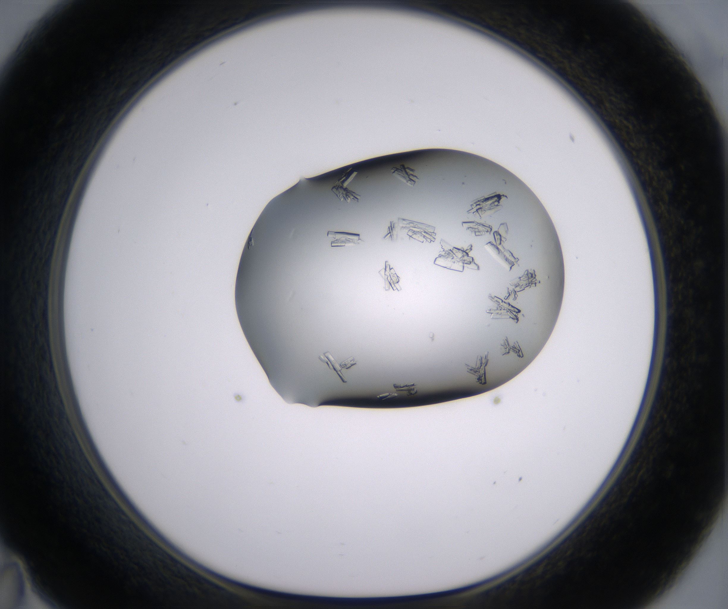 C11_HighResolution_Crystal_1.jpg
