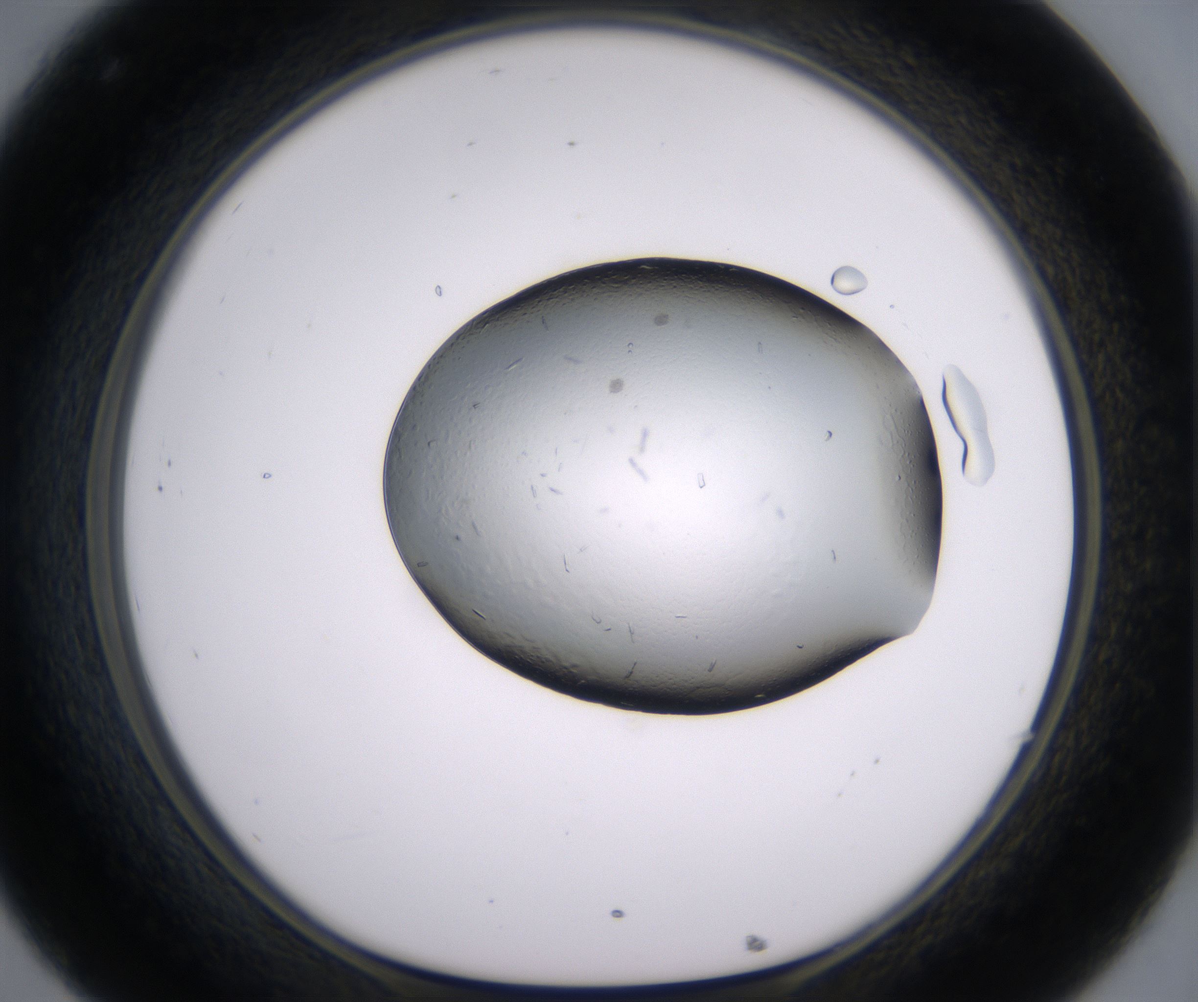 C8_HighResolution_Crystal_1.jpg