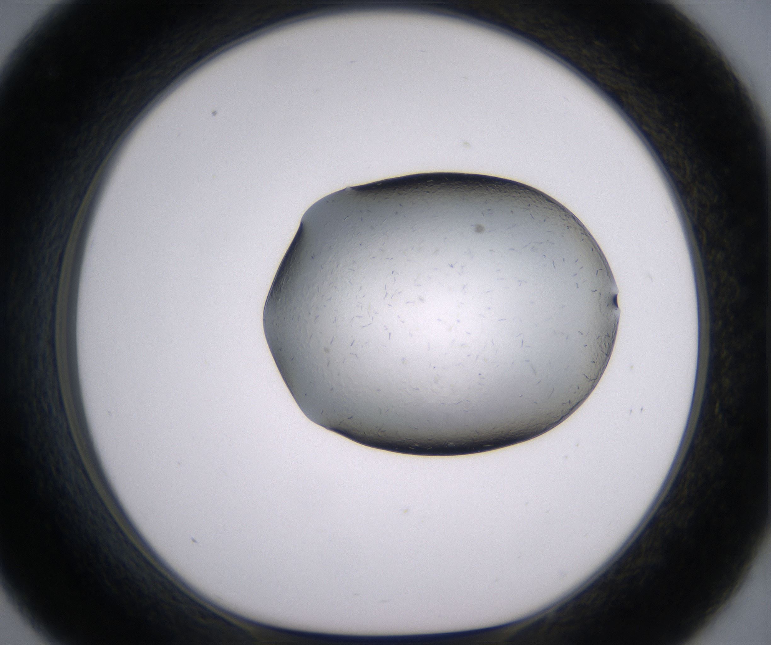 C9_HighResolution_Crystal_1.jpg
