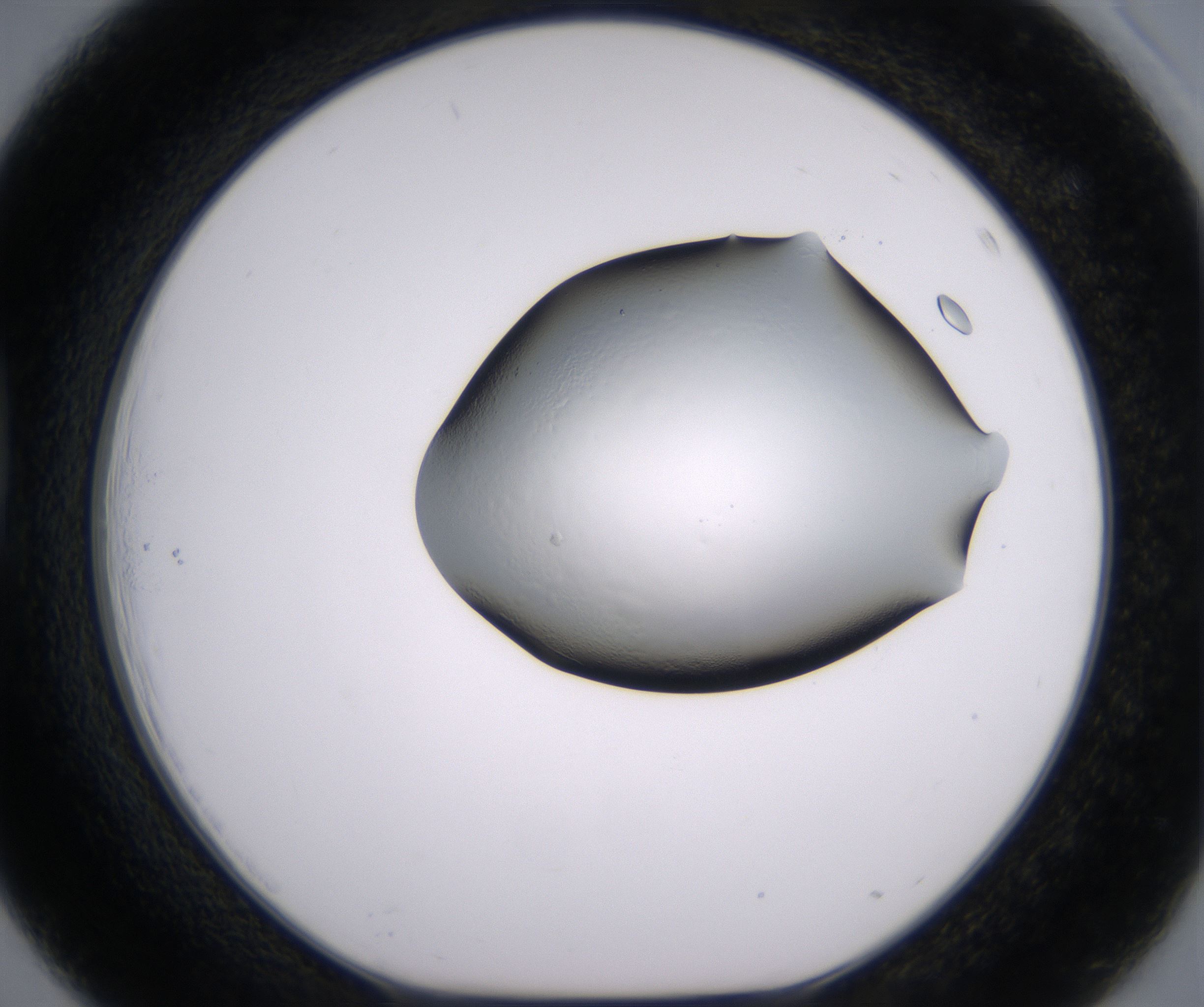 D3_HighResolution_Clear_1.jpg