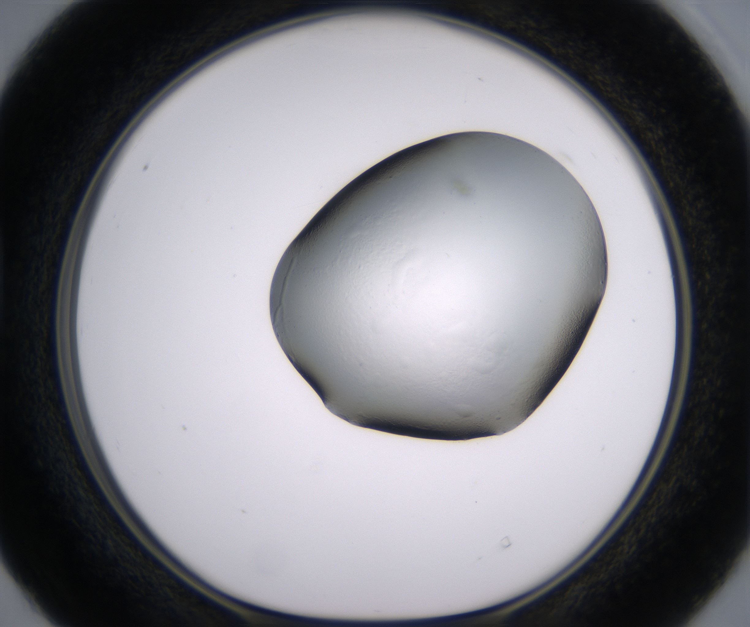 D4_HighResolution_Clear_1.jpg