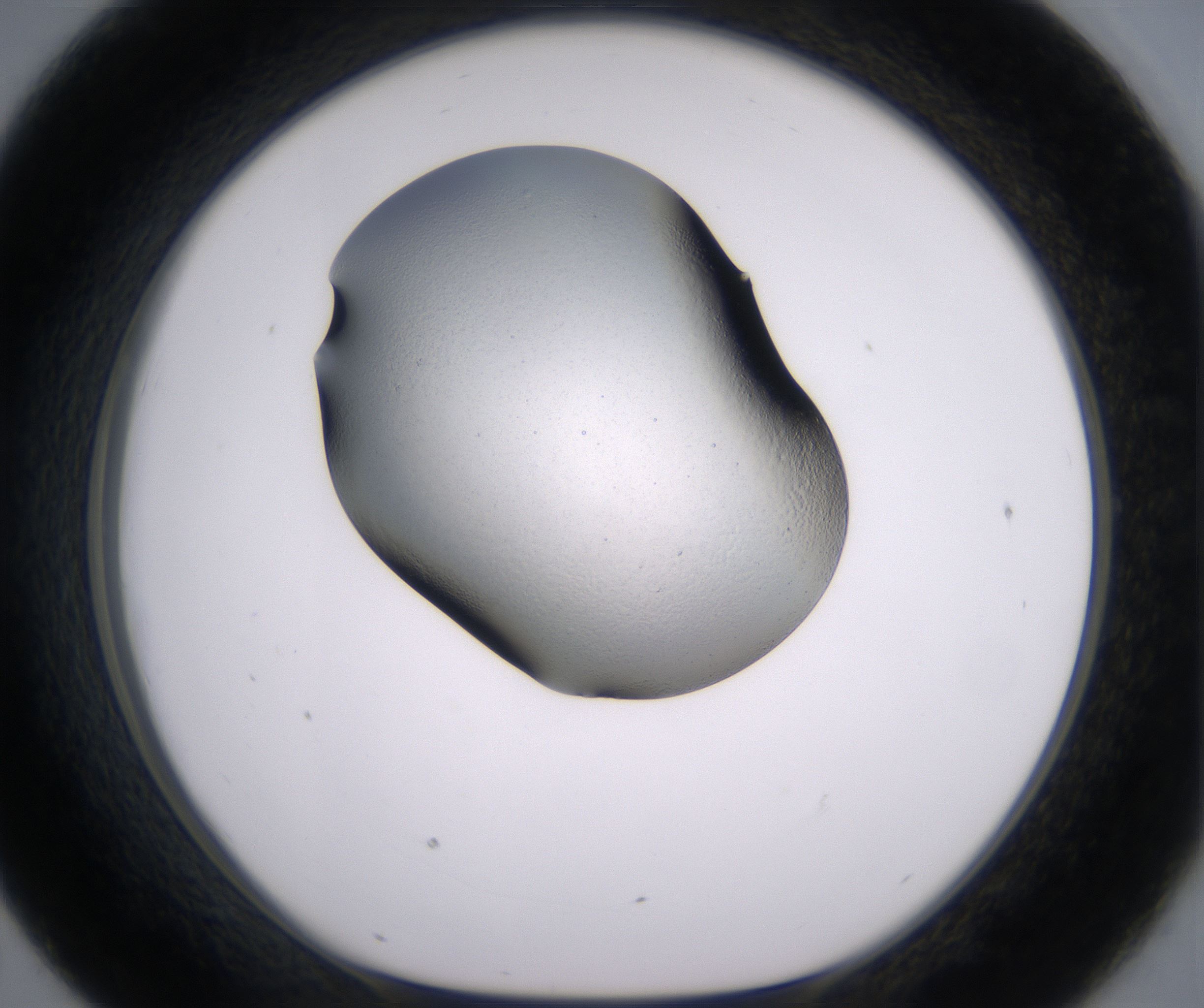 D7_HighResolution_Clear_1.jpg
