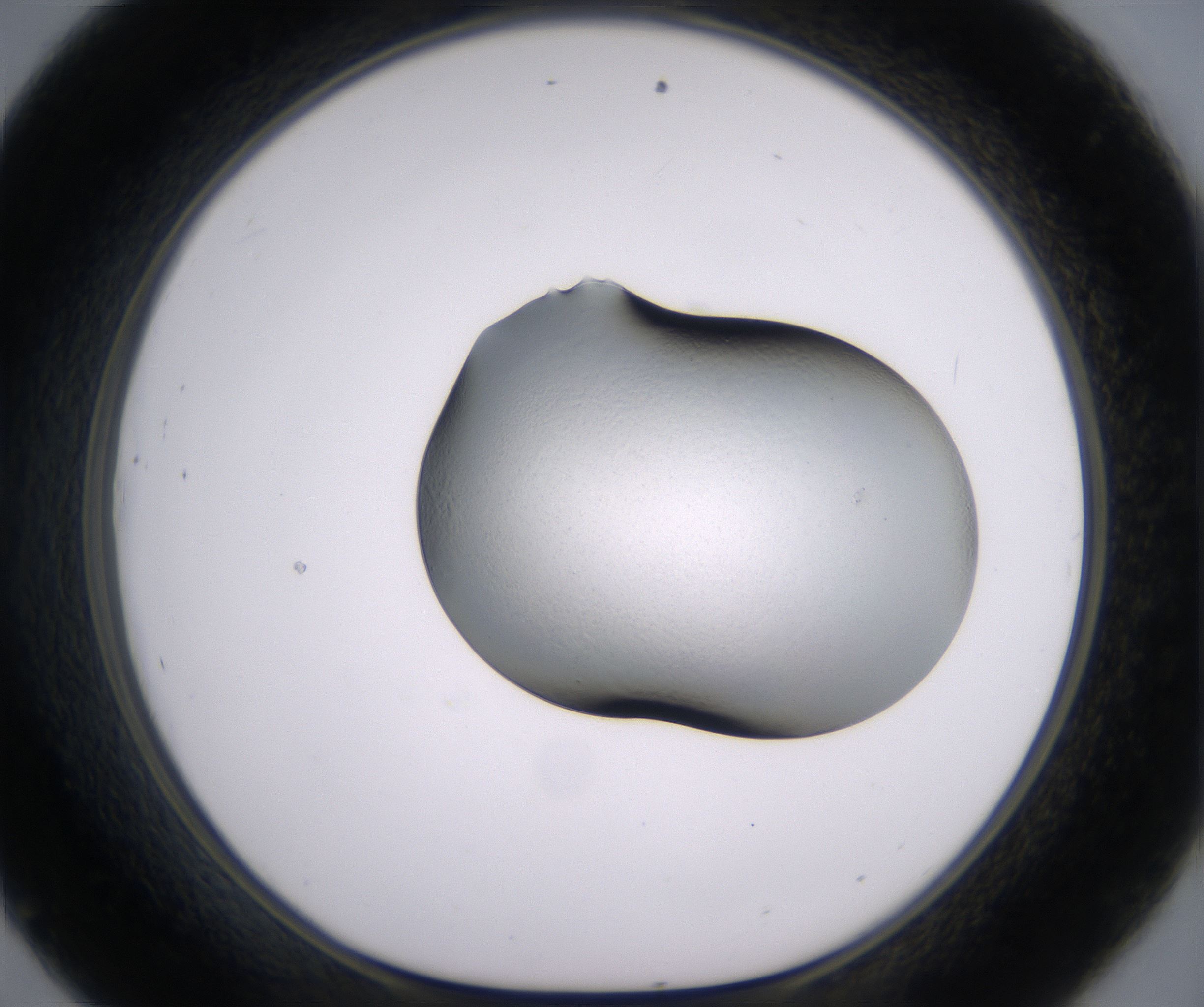 D9_HighResolution_Clear_1.jpg