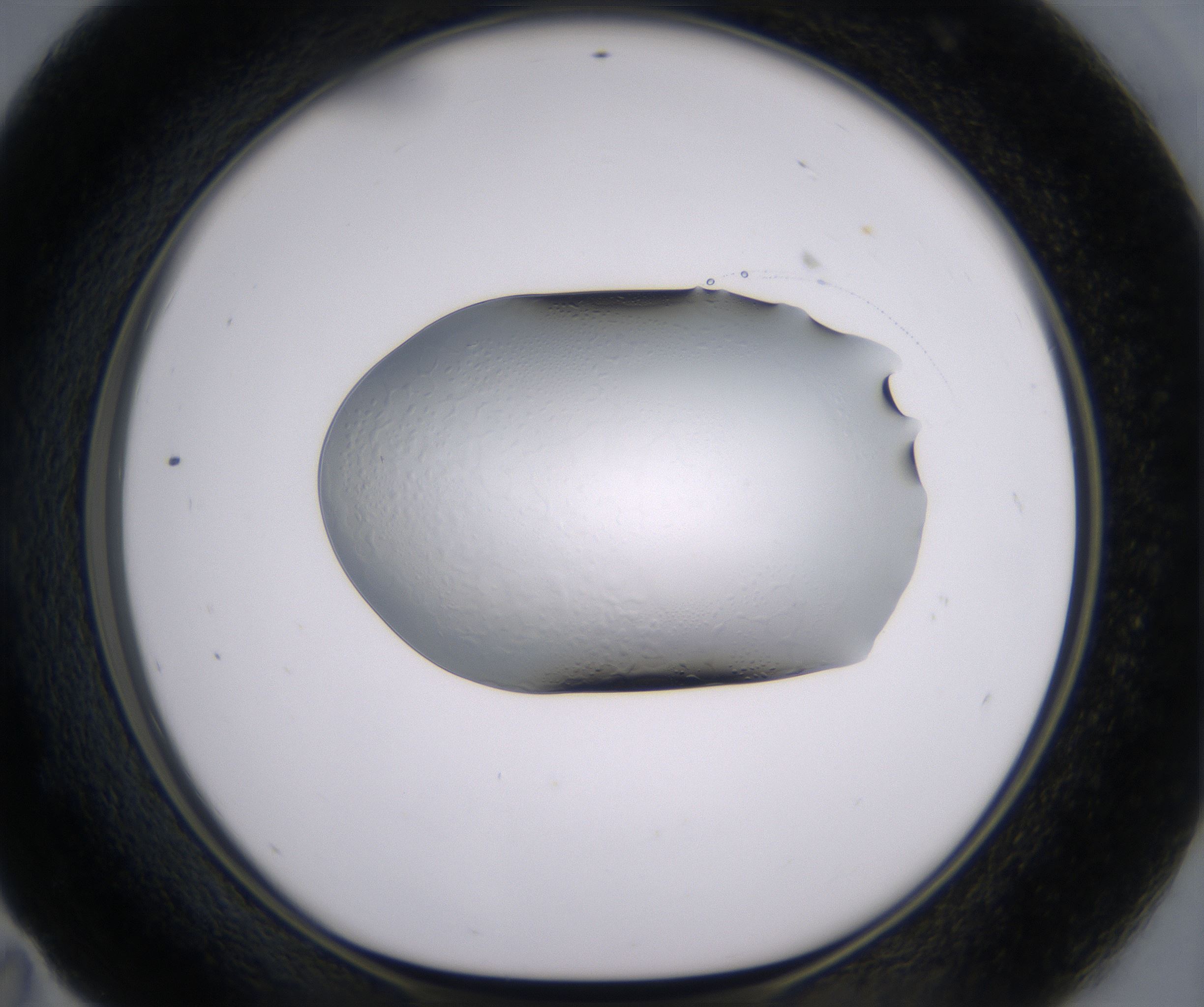 E11_HighResolution_Clear_1.jpg
