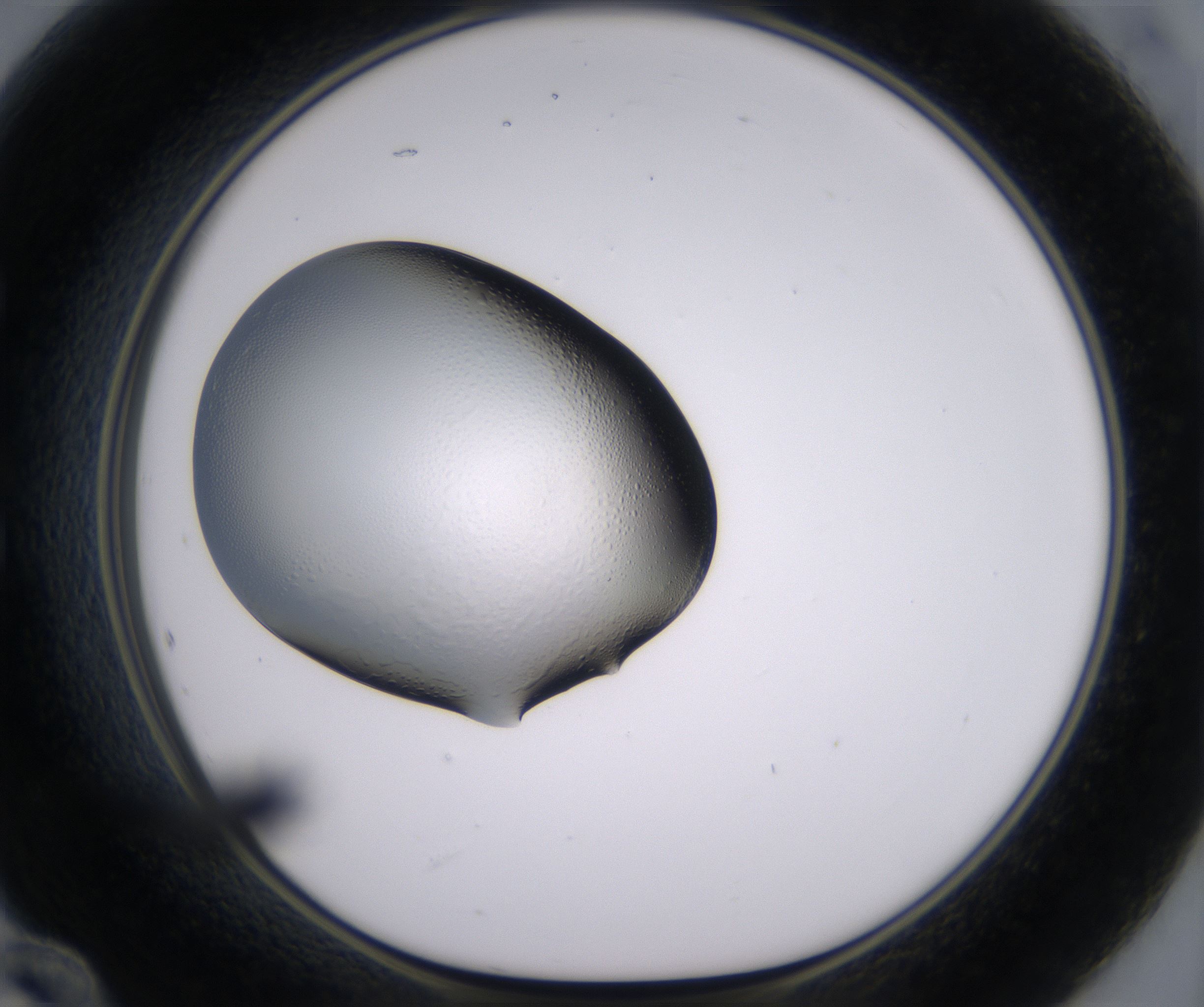 E12_HighResolution_Clear_1.jpg