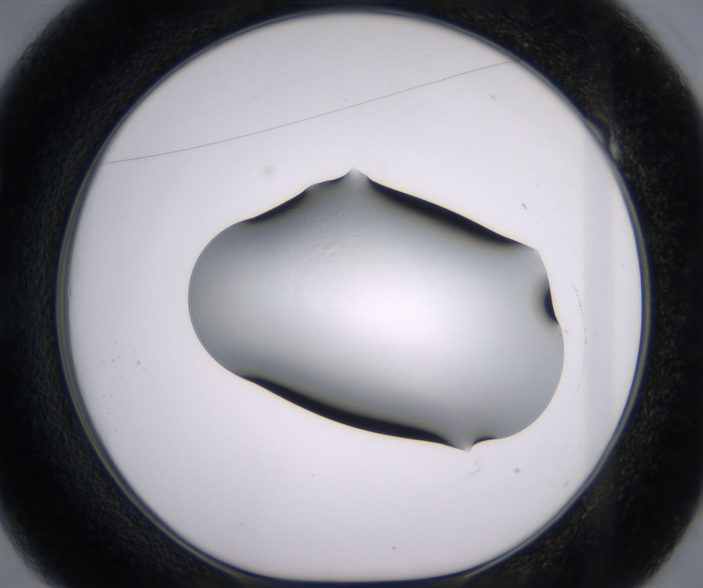 E1_HighResolution_Clear_1.jpg