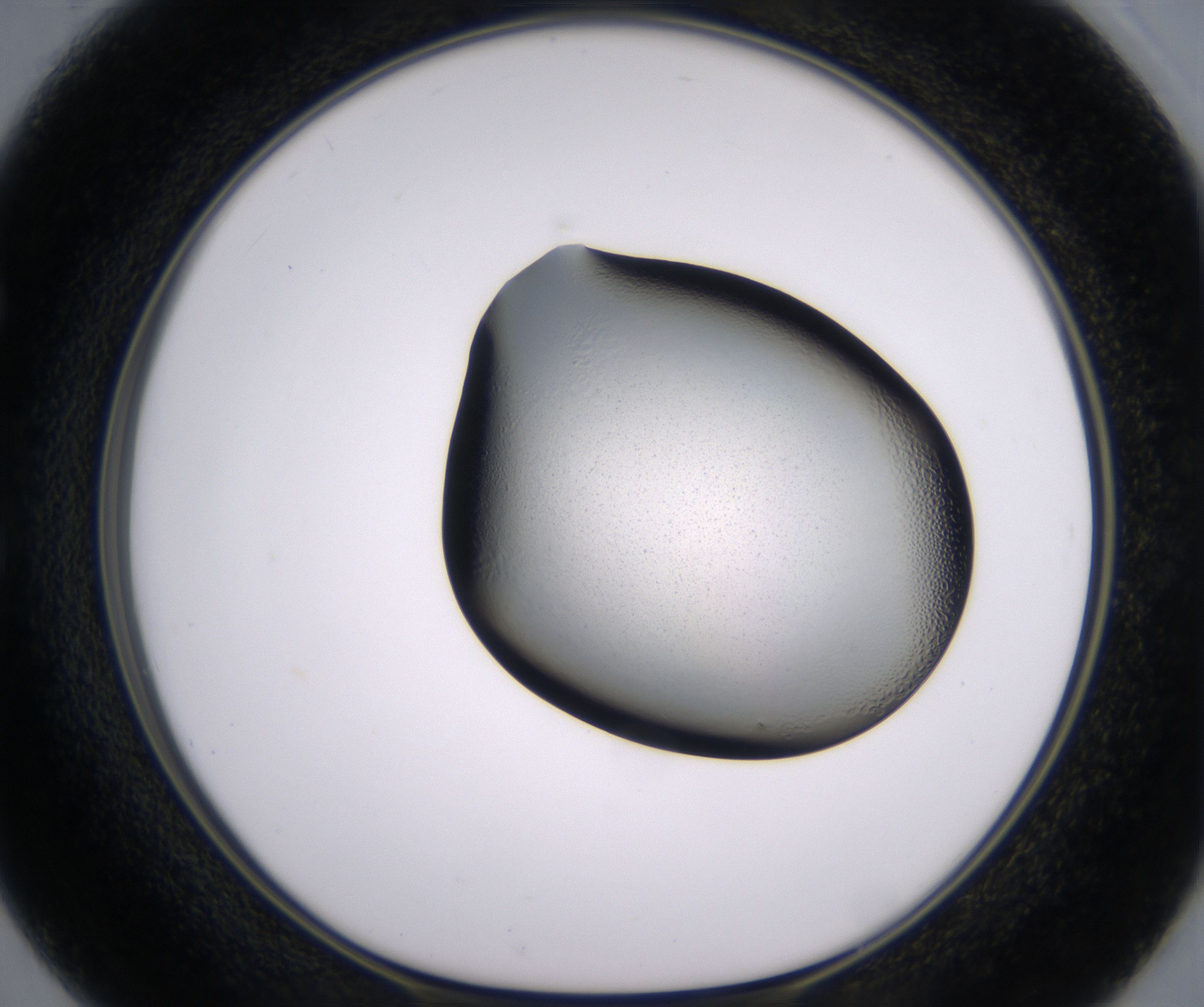 E2_HighResolution_Clear_1.jpg