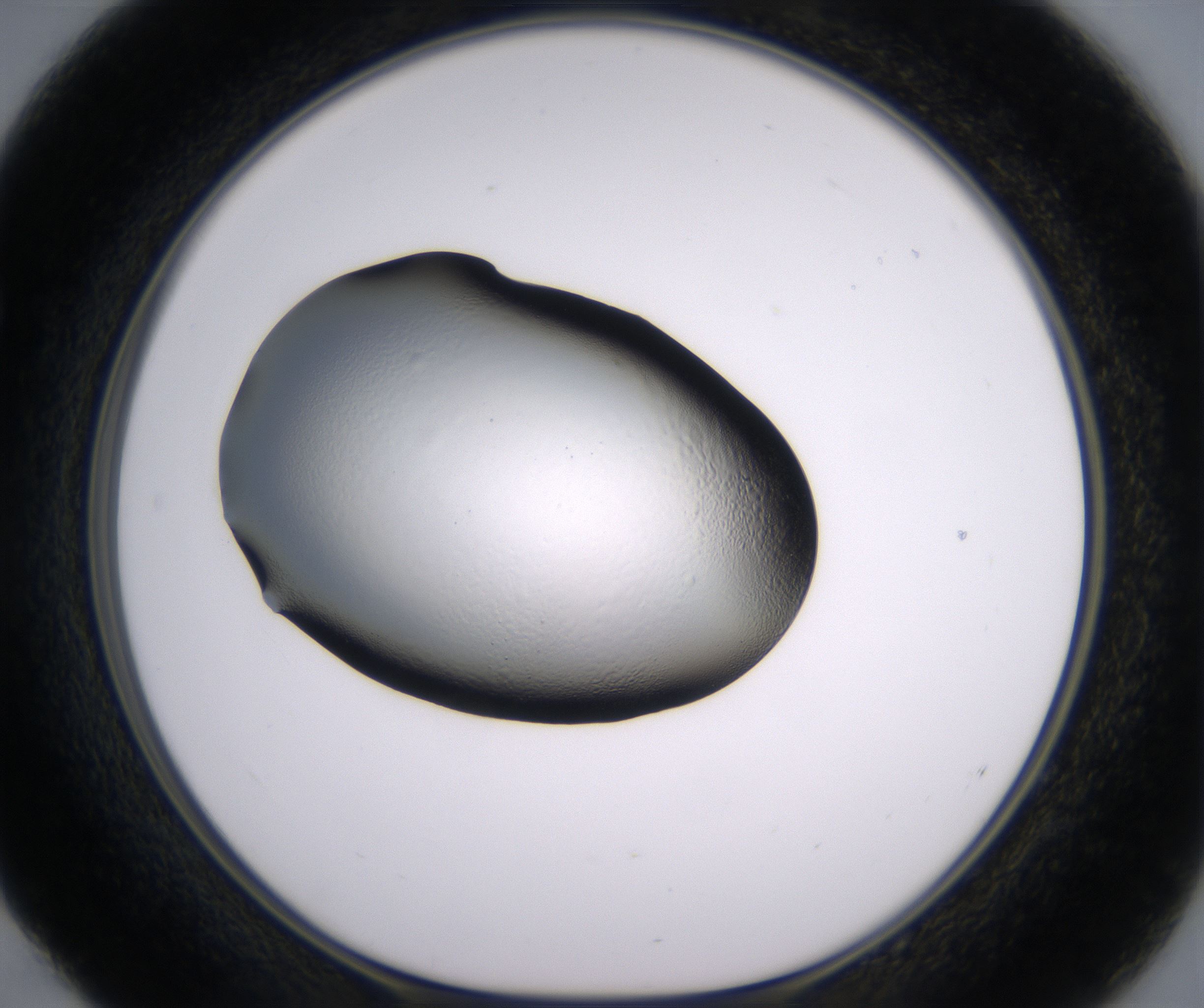 E4_HighResolution_Clear_1.jpg