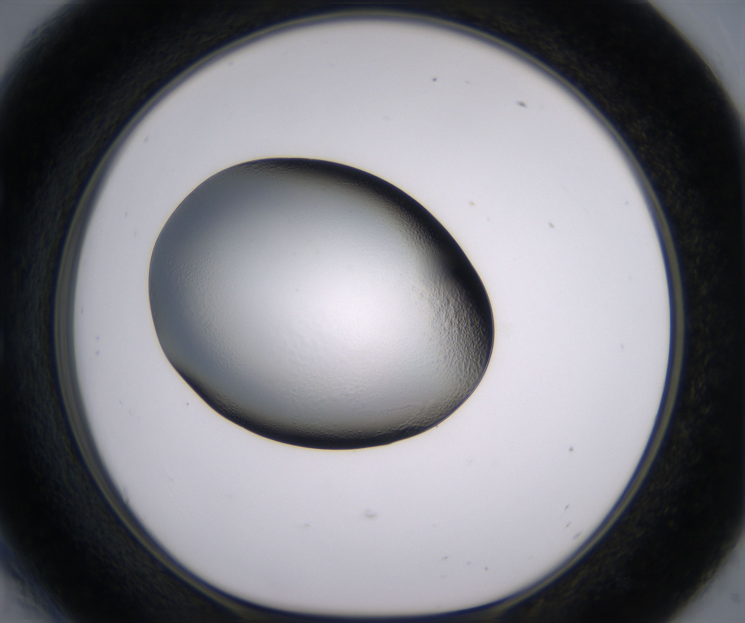 E6_HighResolution_Clear_1.jpg