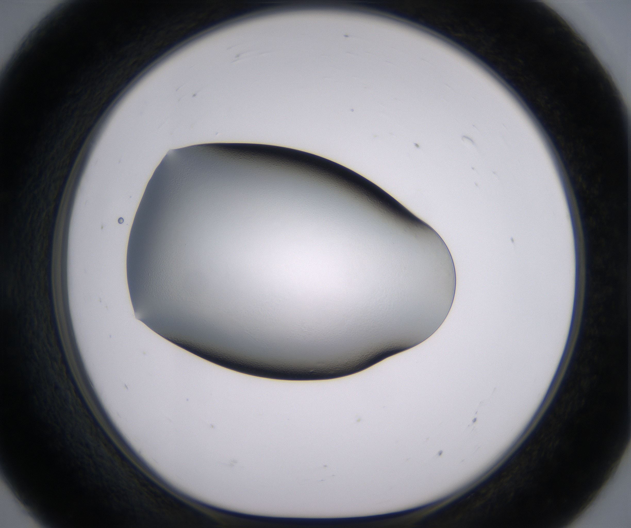 E7_HighResolution_Clear_1.jpg