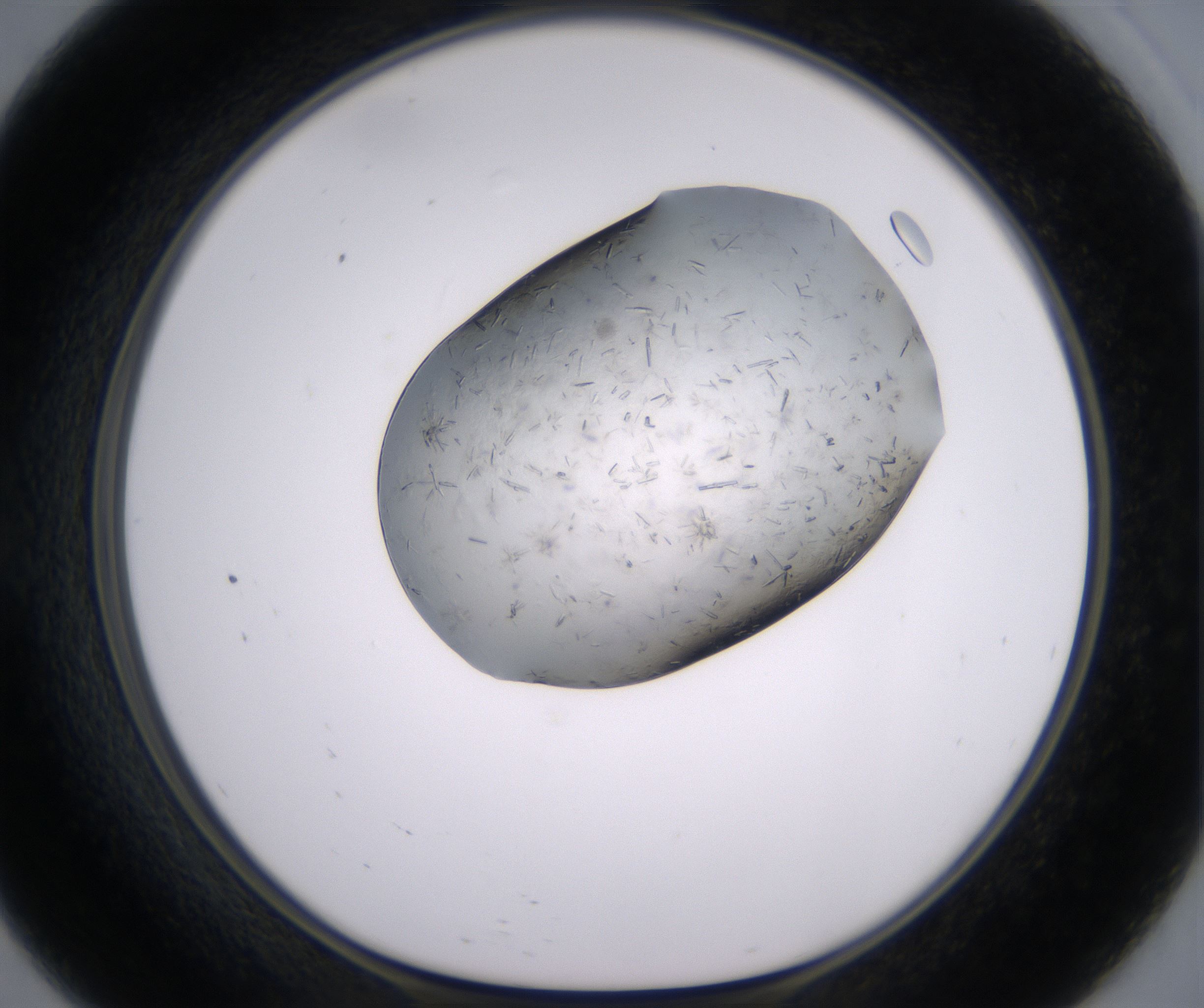 E9_HighResolution_Crystal_1.jpg