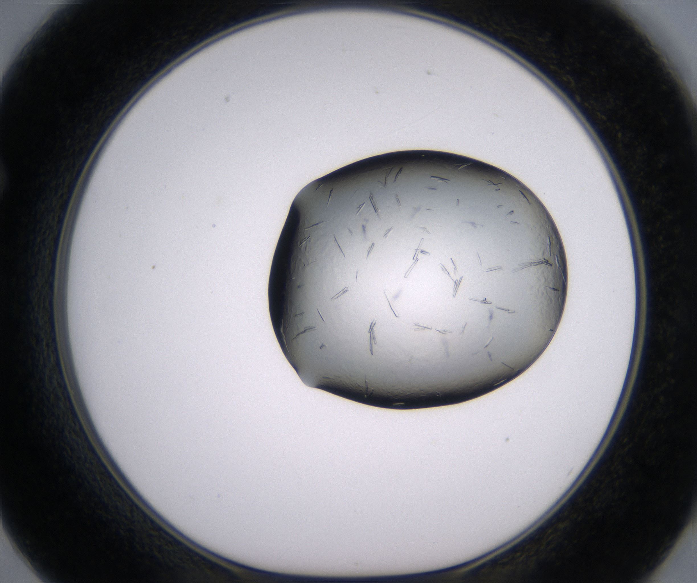 F2_HighResolution_Crystal_1.jpg