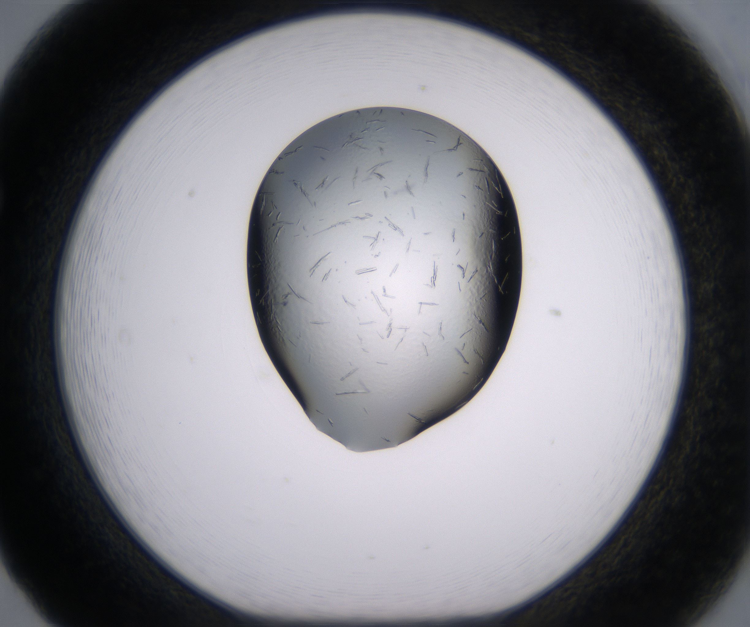F5_HighResolution_Crystal_1.jpg