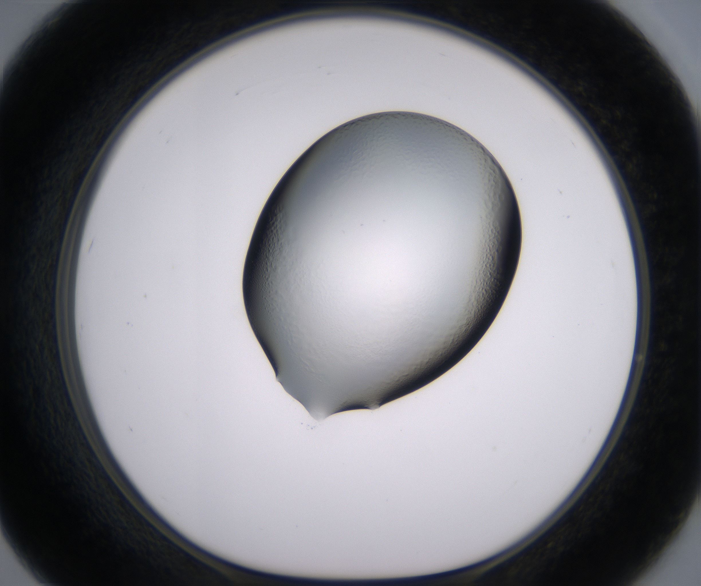 F7_HighResolution_Clear_1.jpg
