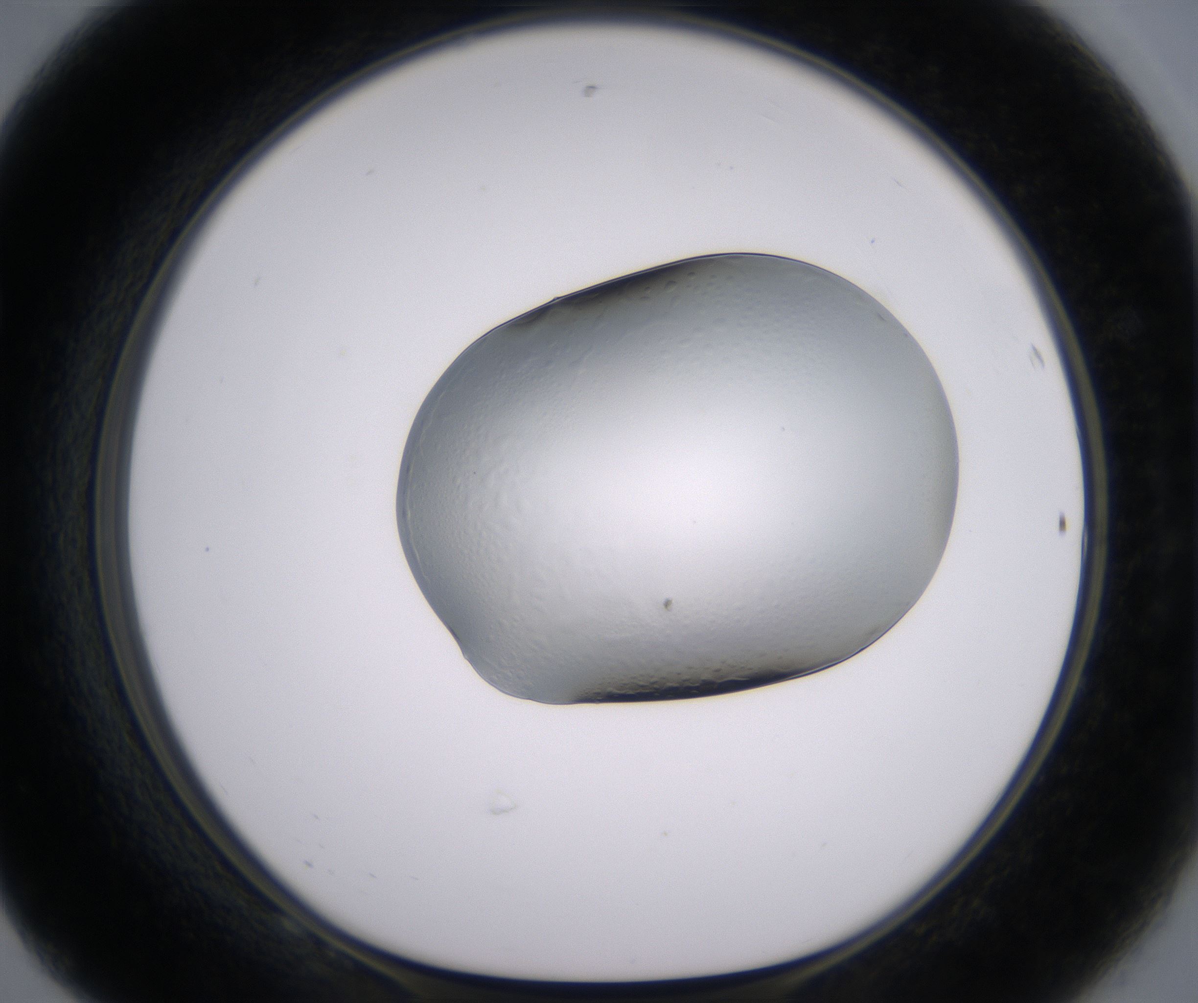 F8_HighResolution_Clear_1.jpg