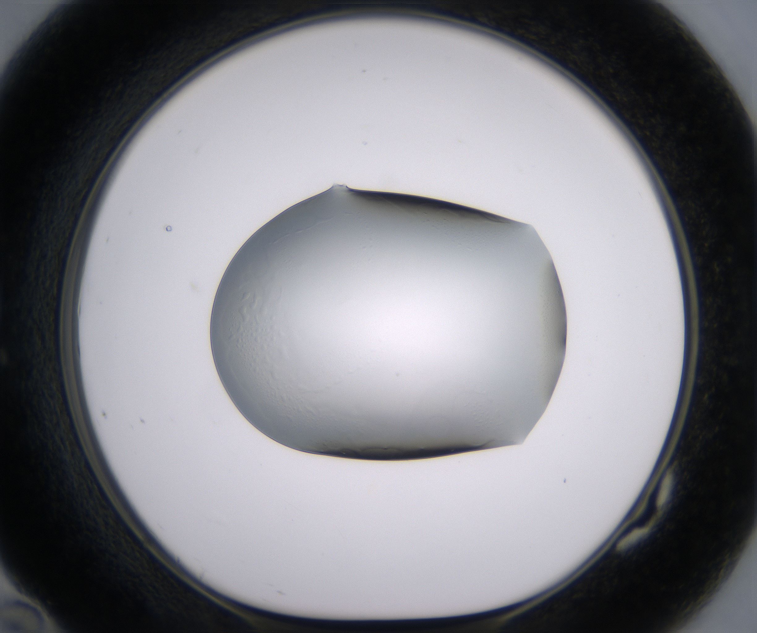 G10_HighResolution_Clear_1.jpg